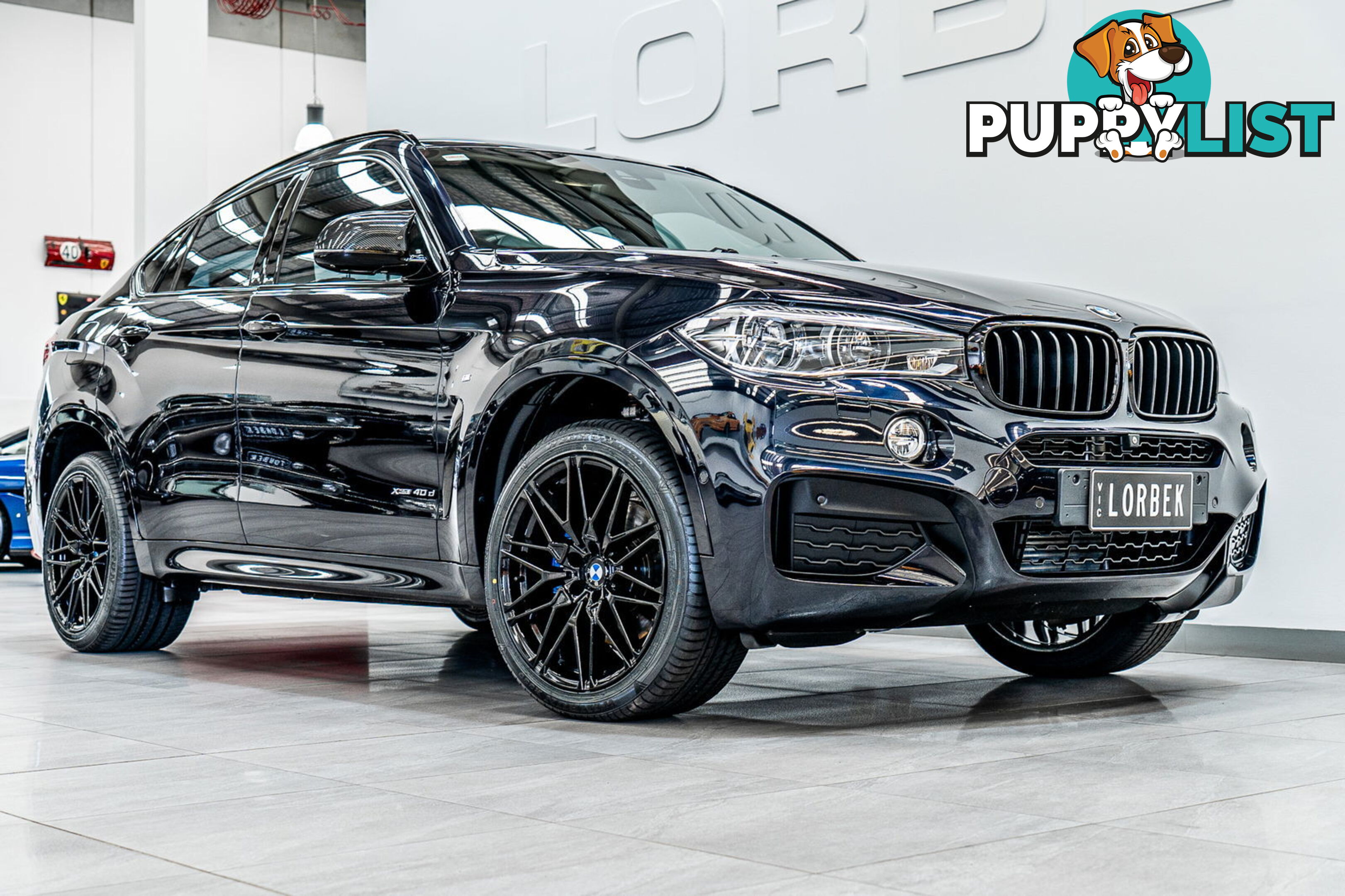 2015 BMW X6 xDrive40d F16