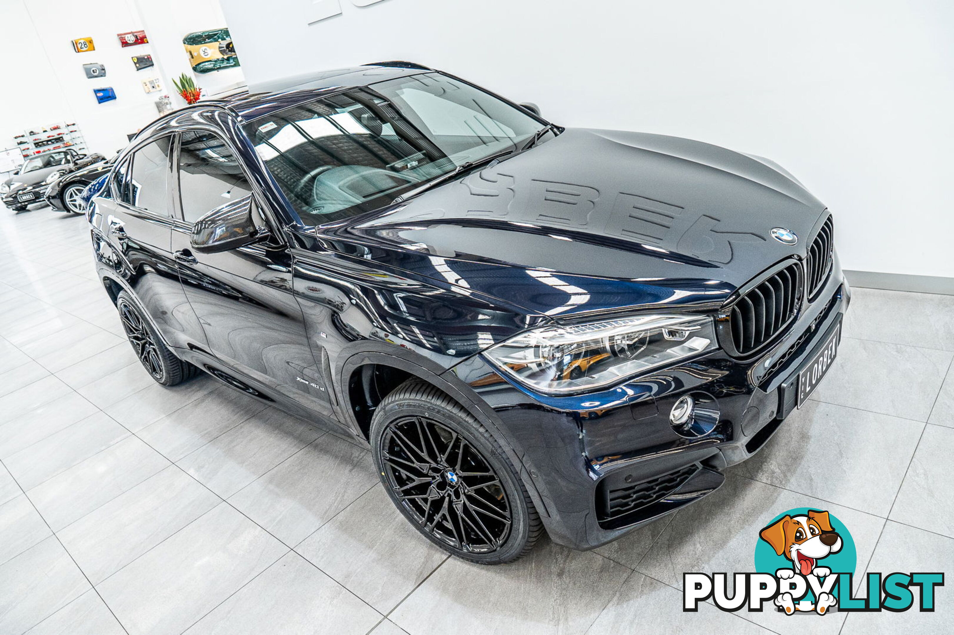 2015 BMW X6 xDrive40d F16