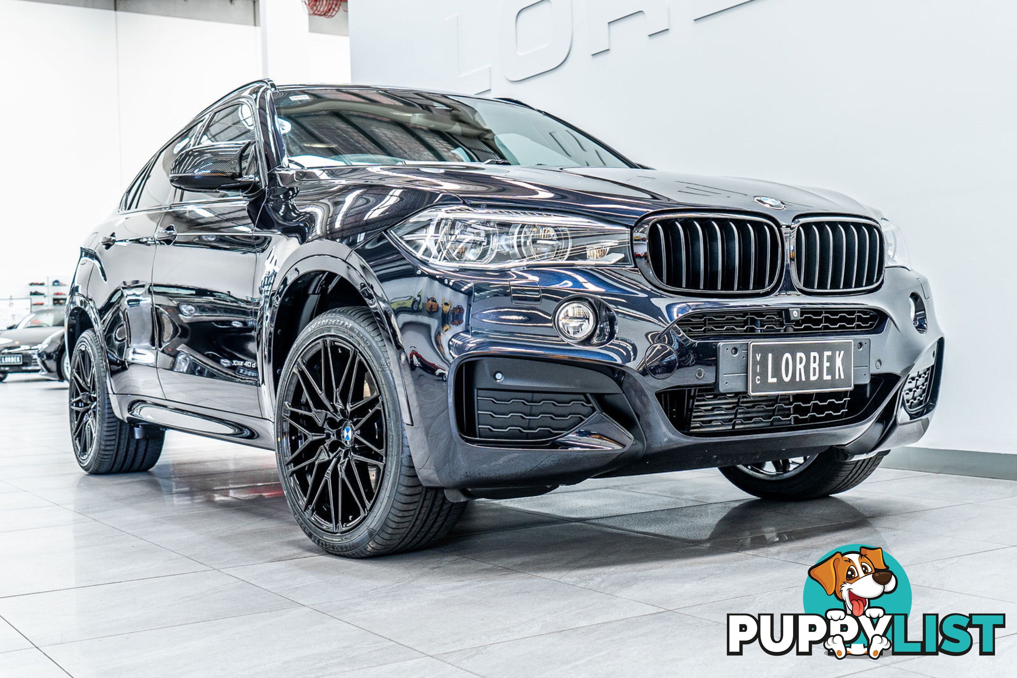 2015 BMW X6 xDrive40d F16