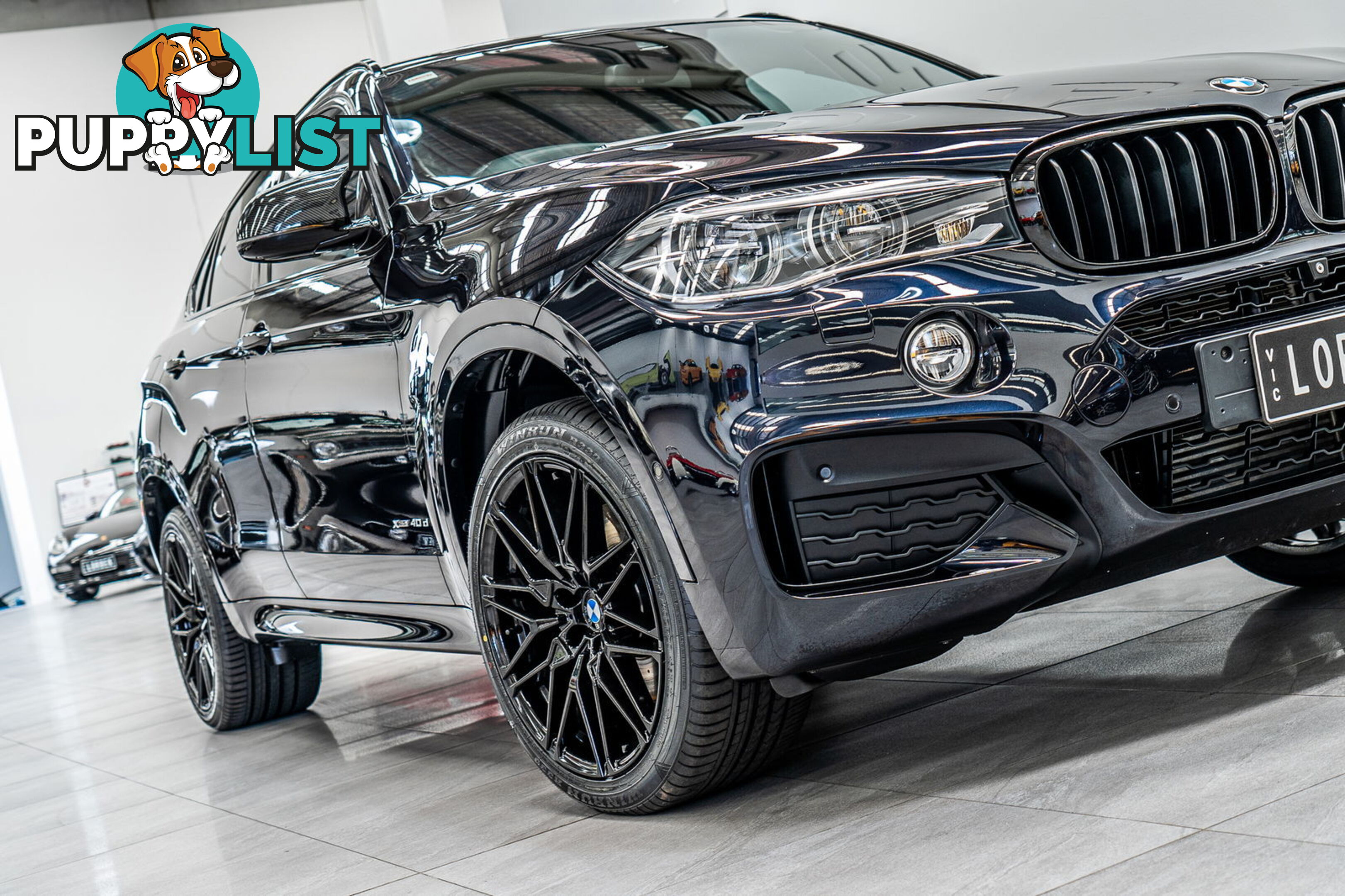 2015 BMW X6 xDrive40d F16