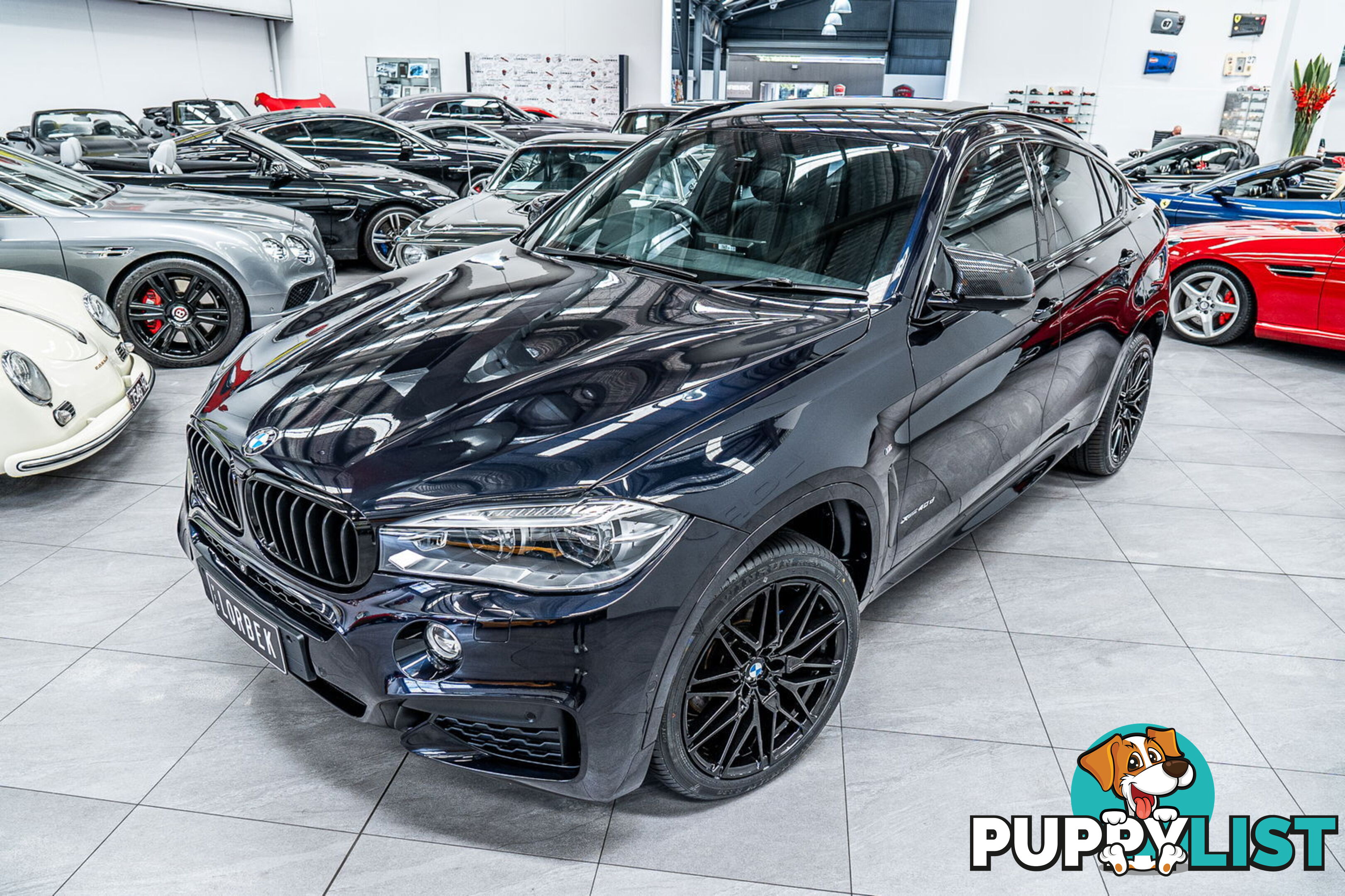 2015 BMW X6 xDrive40d F16