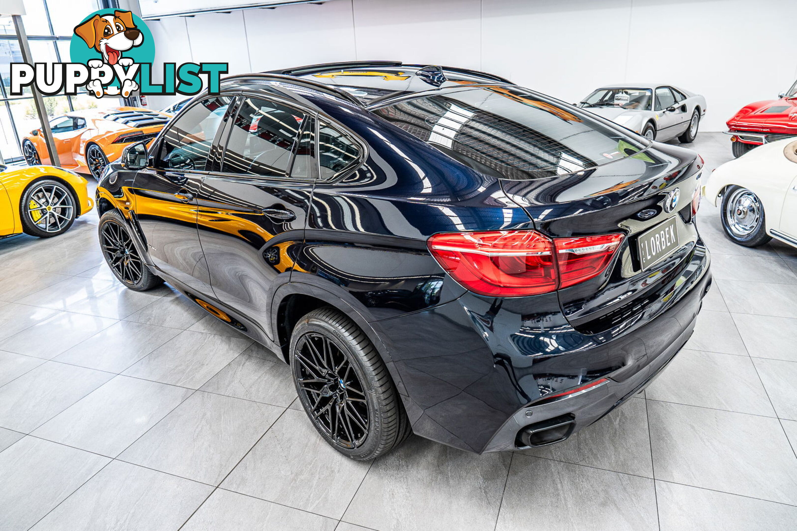 2015 BMW X6 xDrive40d F16