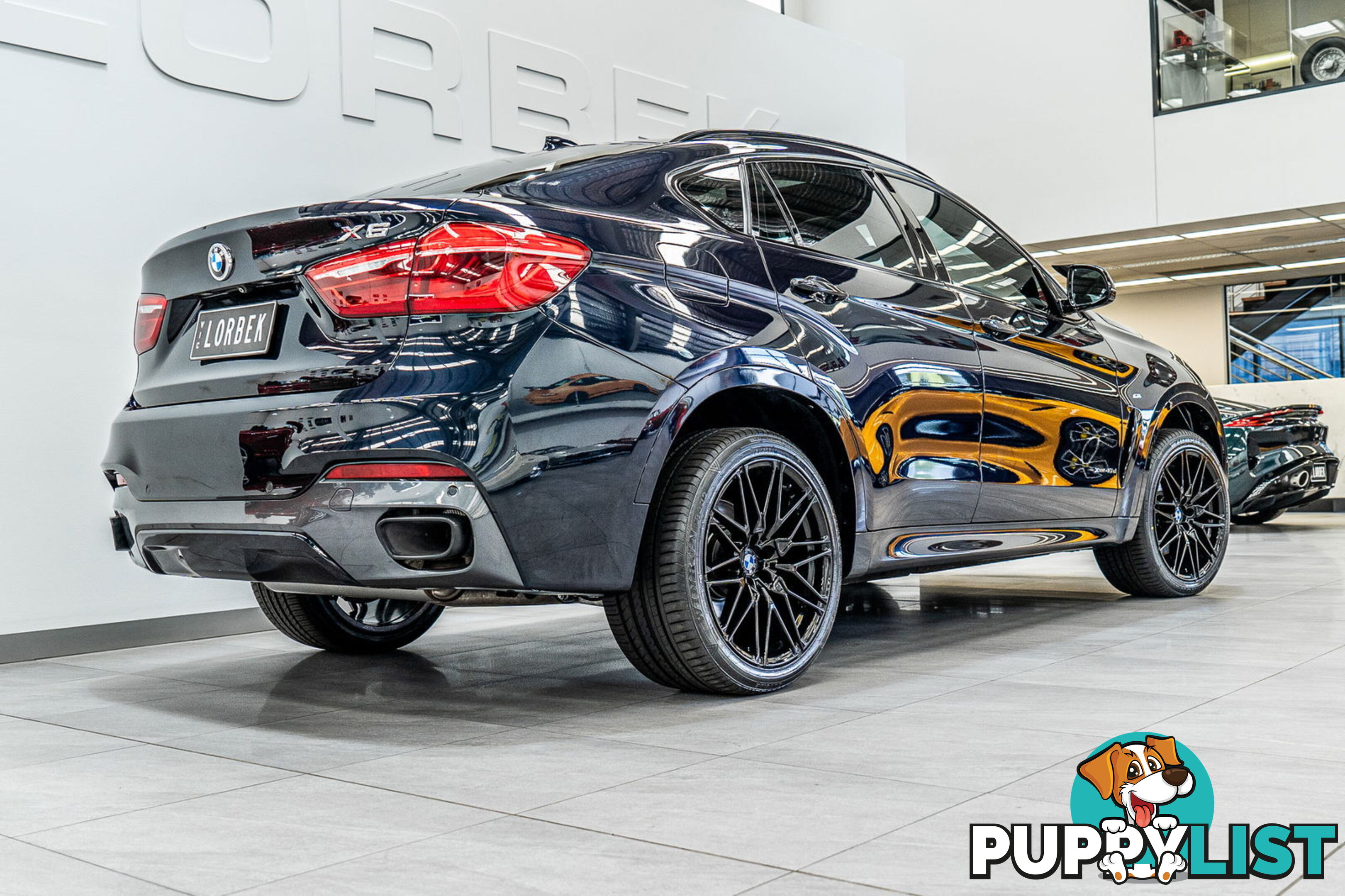 2015 BMW X6 xDrive40d F16