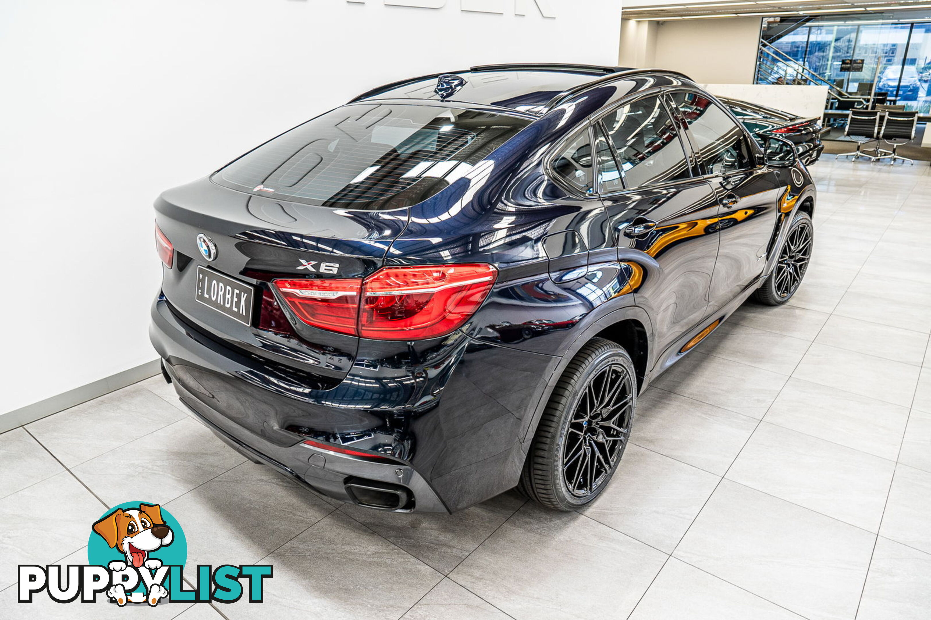 2015 BMW X6 xDrive40d F16