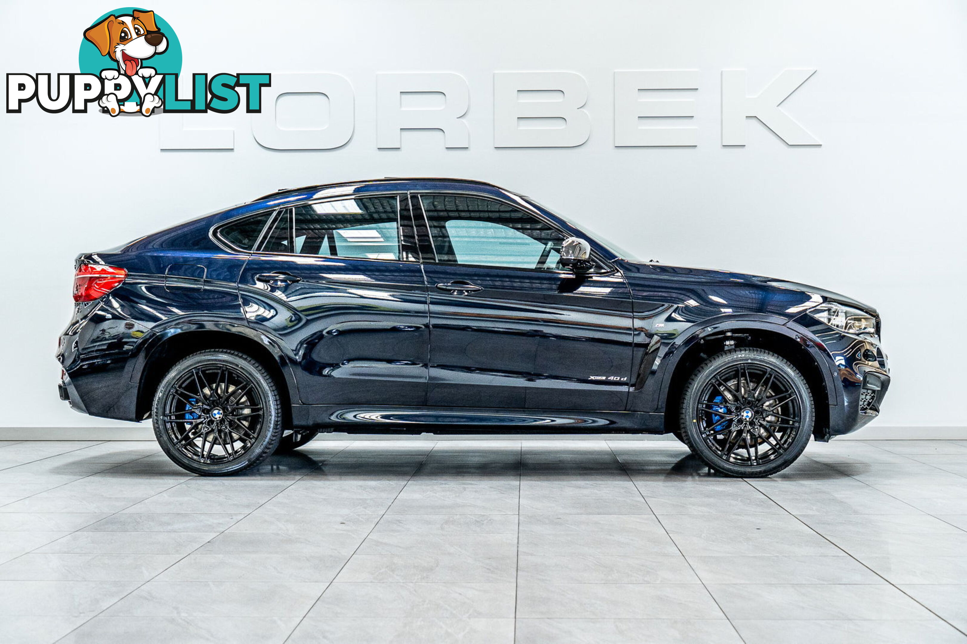 2015 BMW X6 xDrive40d F16