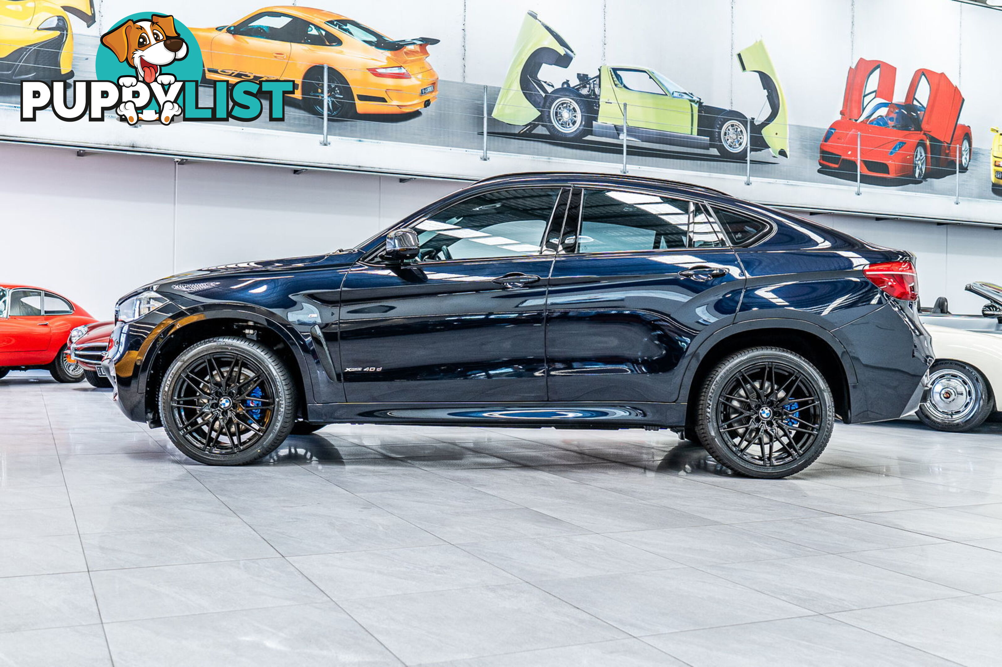 2015 BMW X6 xDrive40d F16