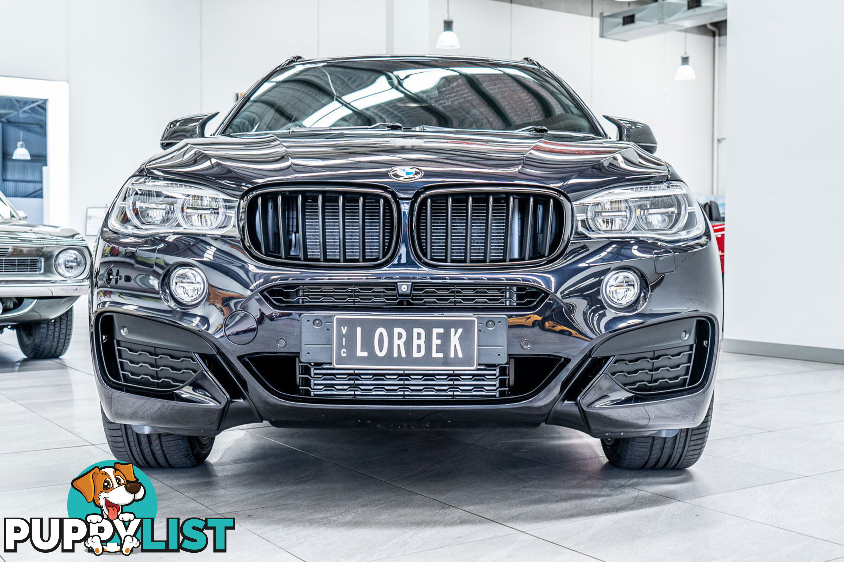 2015 BMW X6 xDrive40d F16