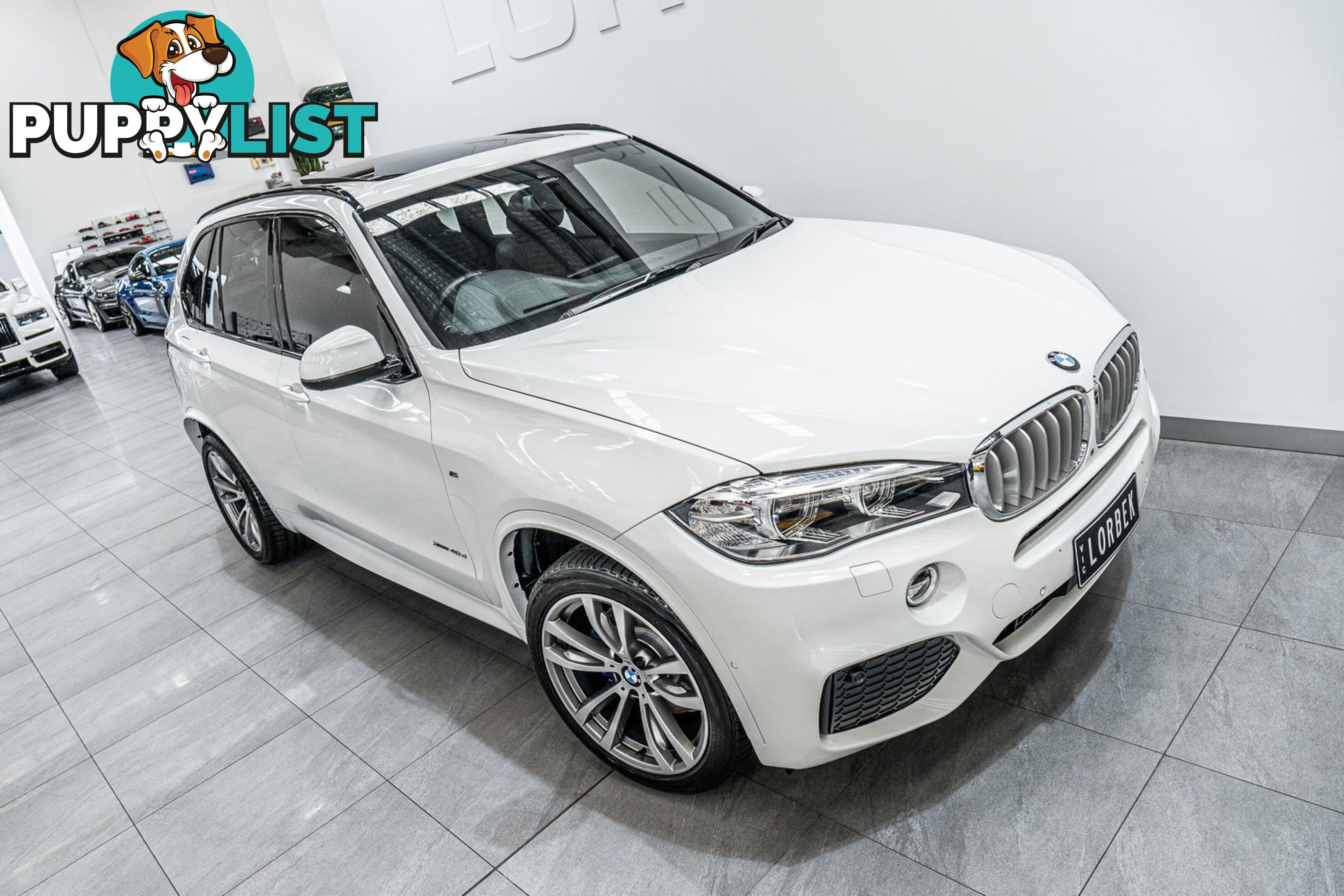 2017 BMW X5 xDrive 40D F15 MY17