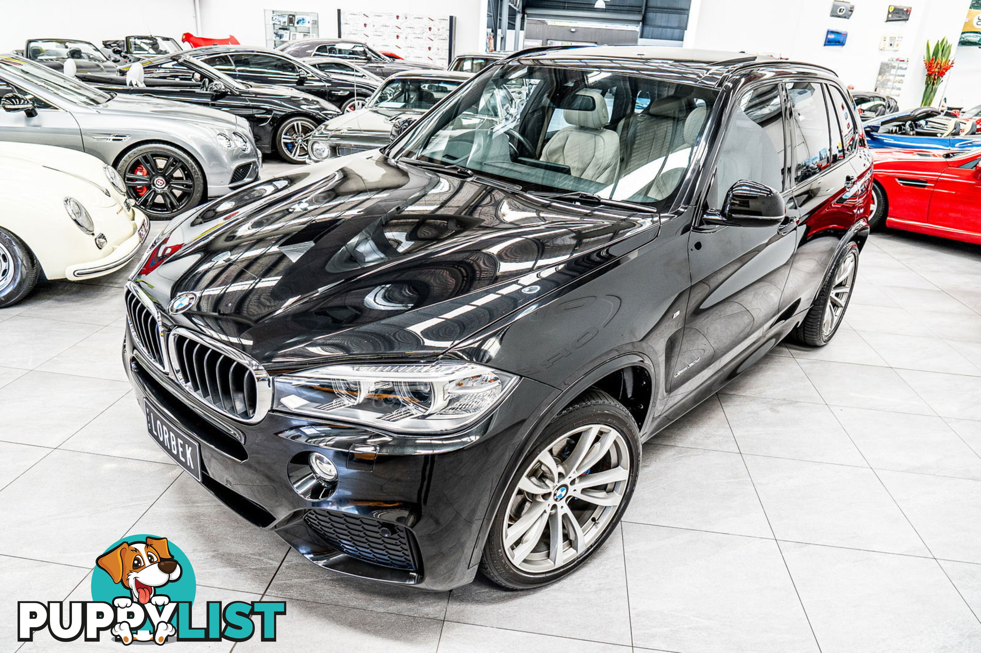 2014 BMW X5 xDrive30d F15 MY14