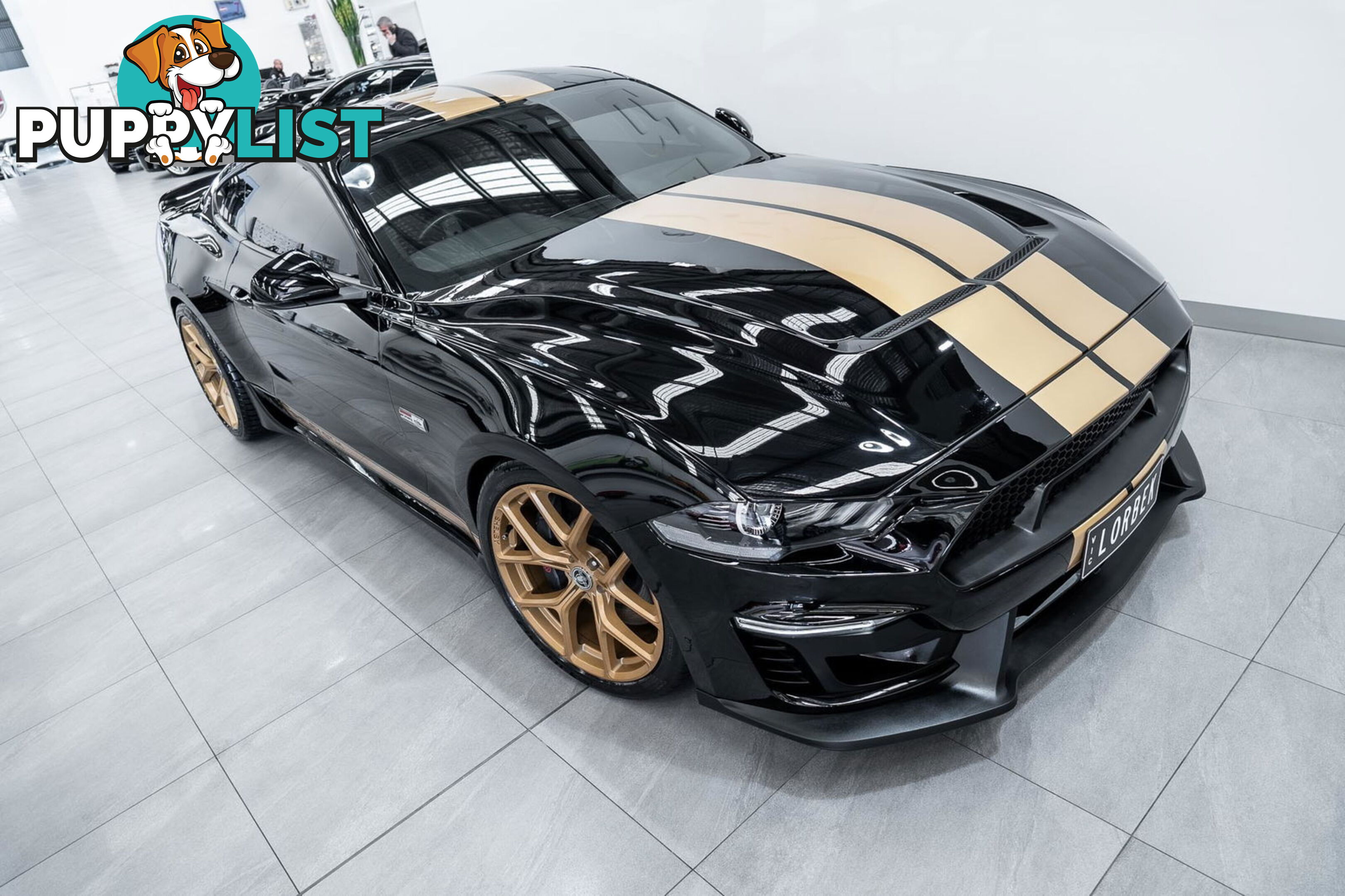 2019 Ford Mustang Shelby GT-H Heritage Edition FN