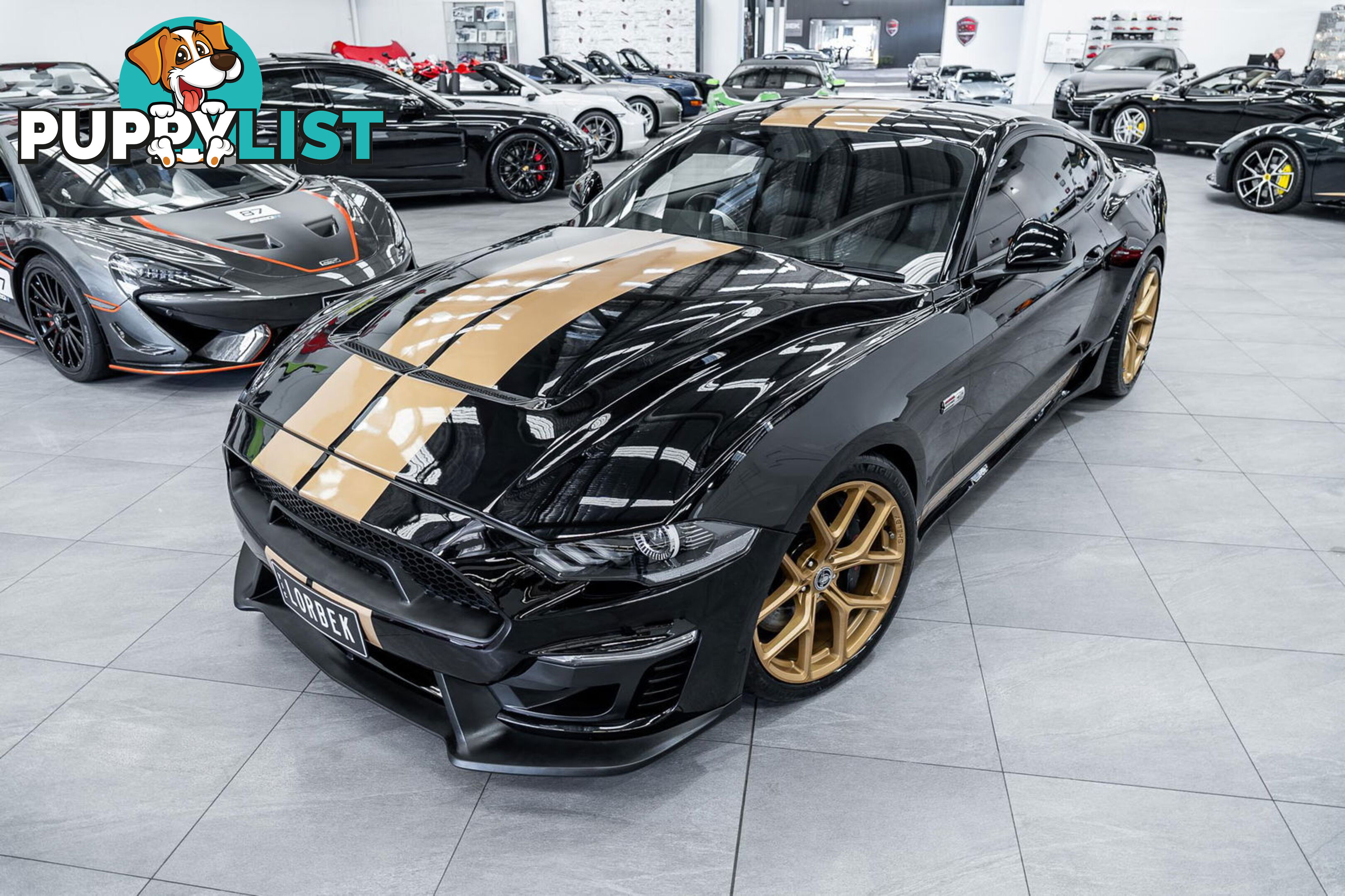 2019 Ford Mustang Shelby GT-H Heritage Edition FN