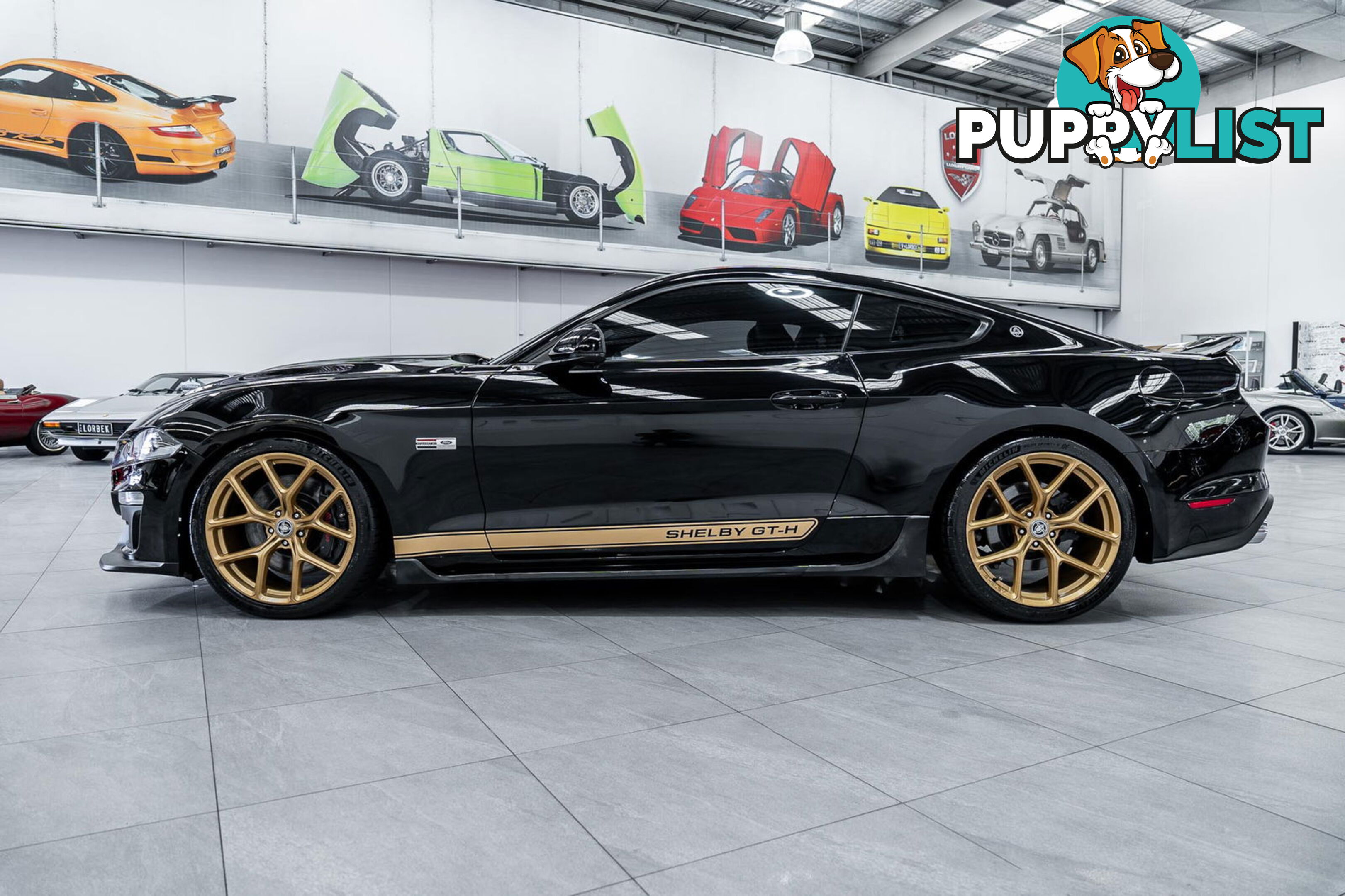 2019 Ford Mustang Shelby GT-H Heritage Edition FN