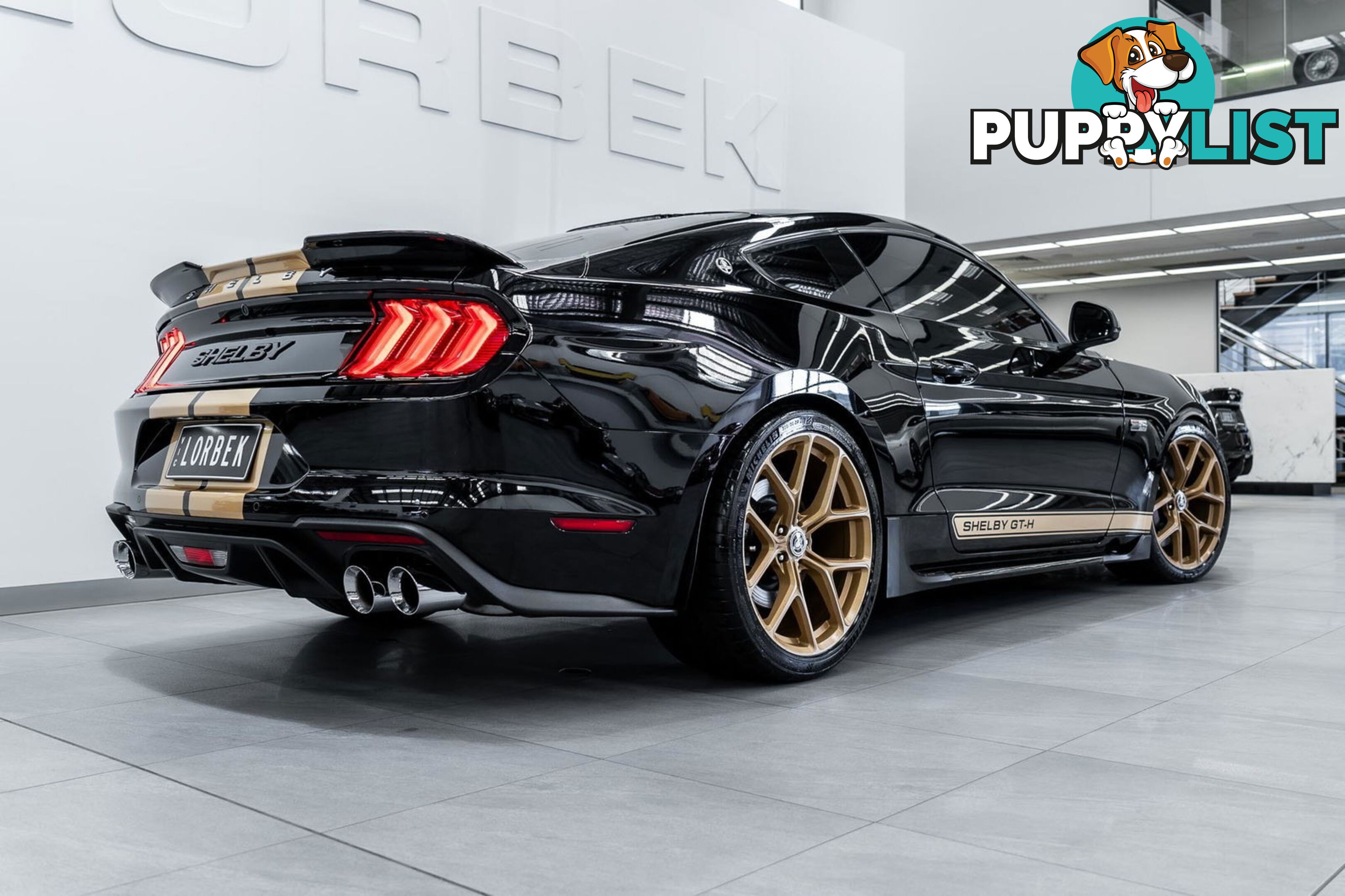 2019 Ford Mustang Shelby GT-H Heritage Edition FN