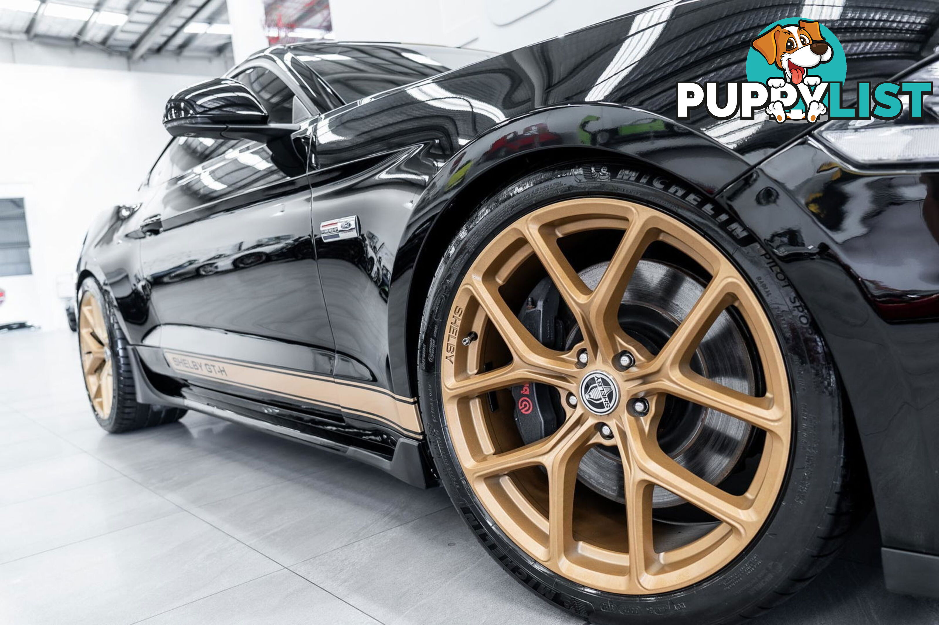 2019 Ford Mustang Shelby GT-H Heritage Edition FN