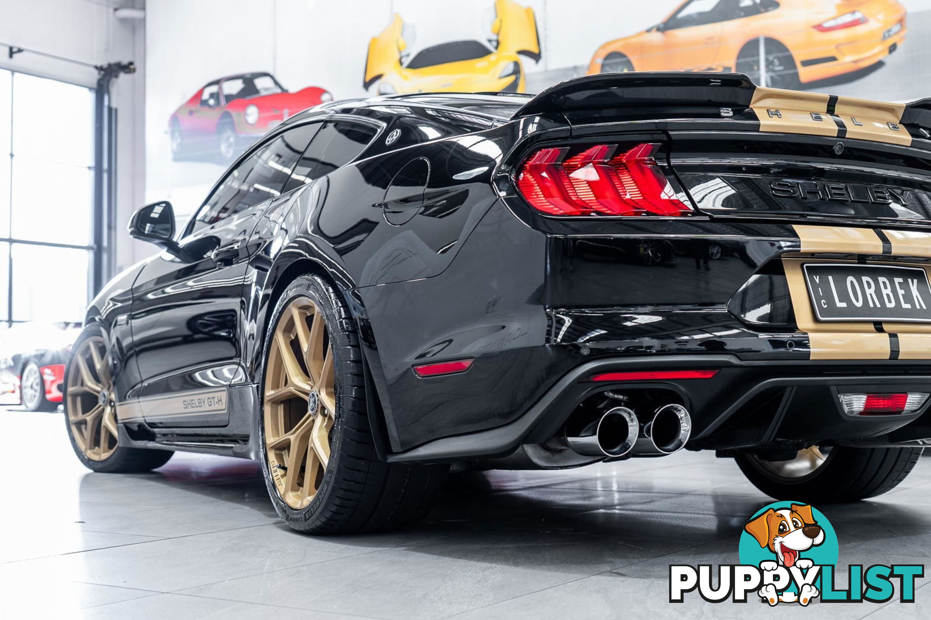2019 Ford Mustang Shelby GT-H Heritage Edition FN