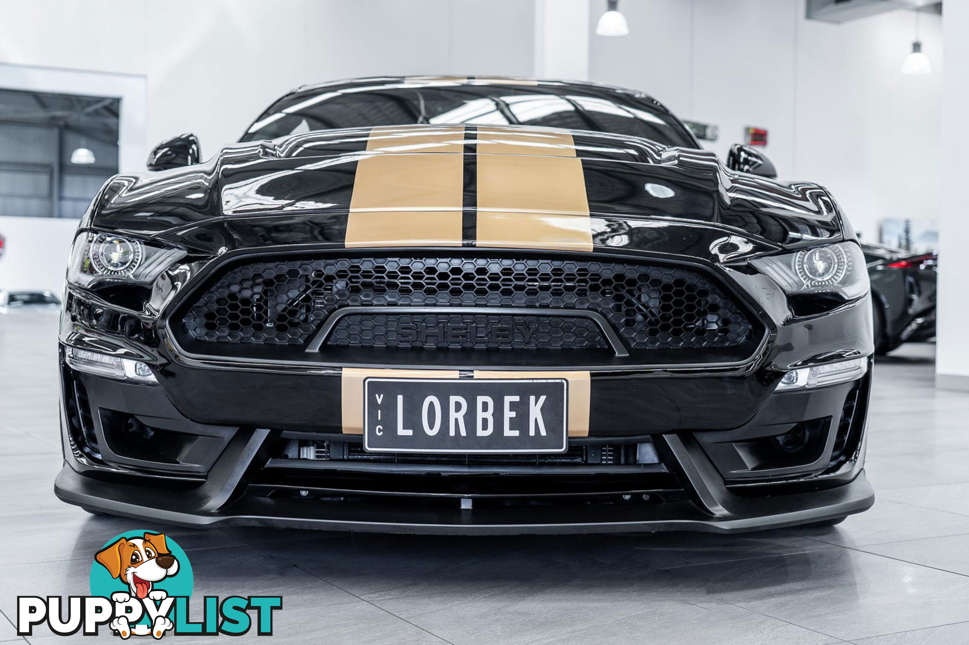 2019 Ford Mustang Shelby GT-H Heritage Edition FN
