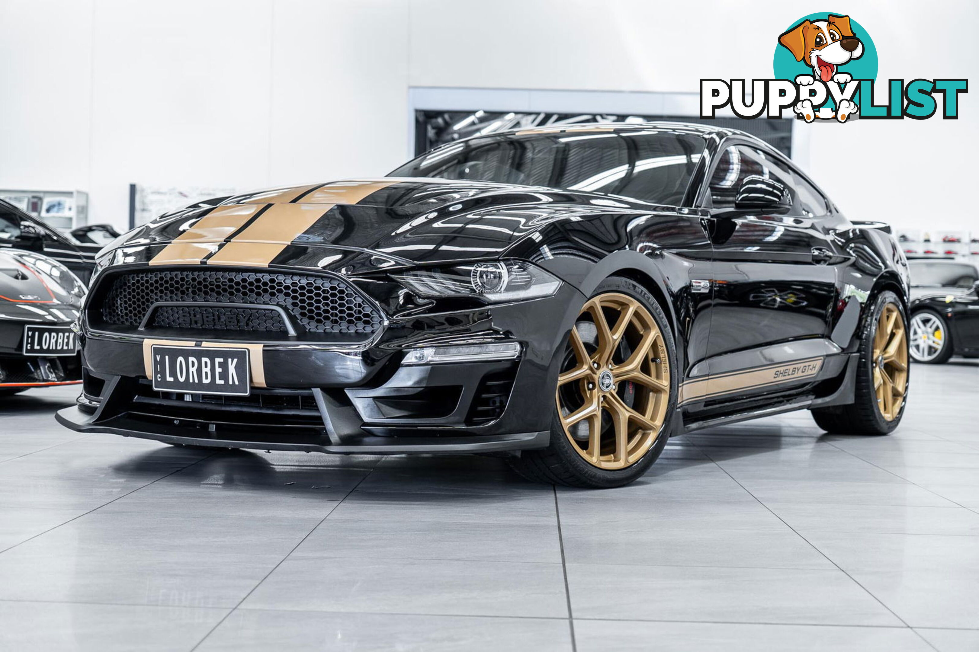 2019 Ford Mustang Shelby GT-H Heritage Edition FN