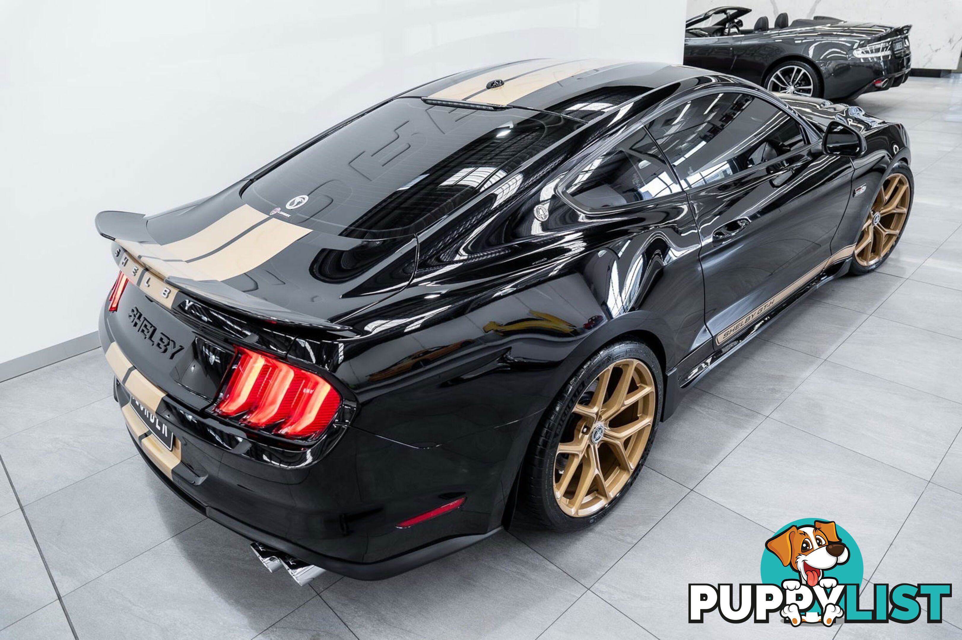 2019 Ford Mustang Shelby GT-H Heritage Edition FN