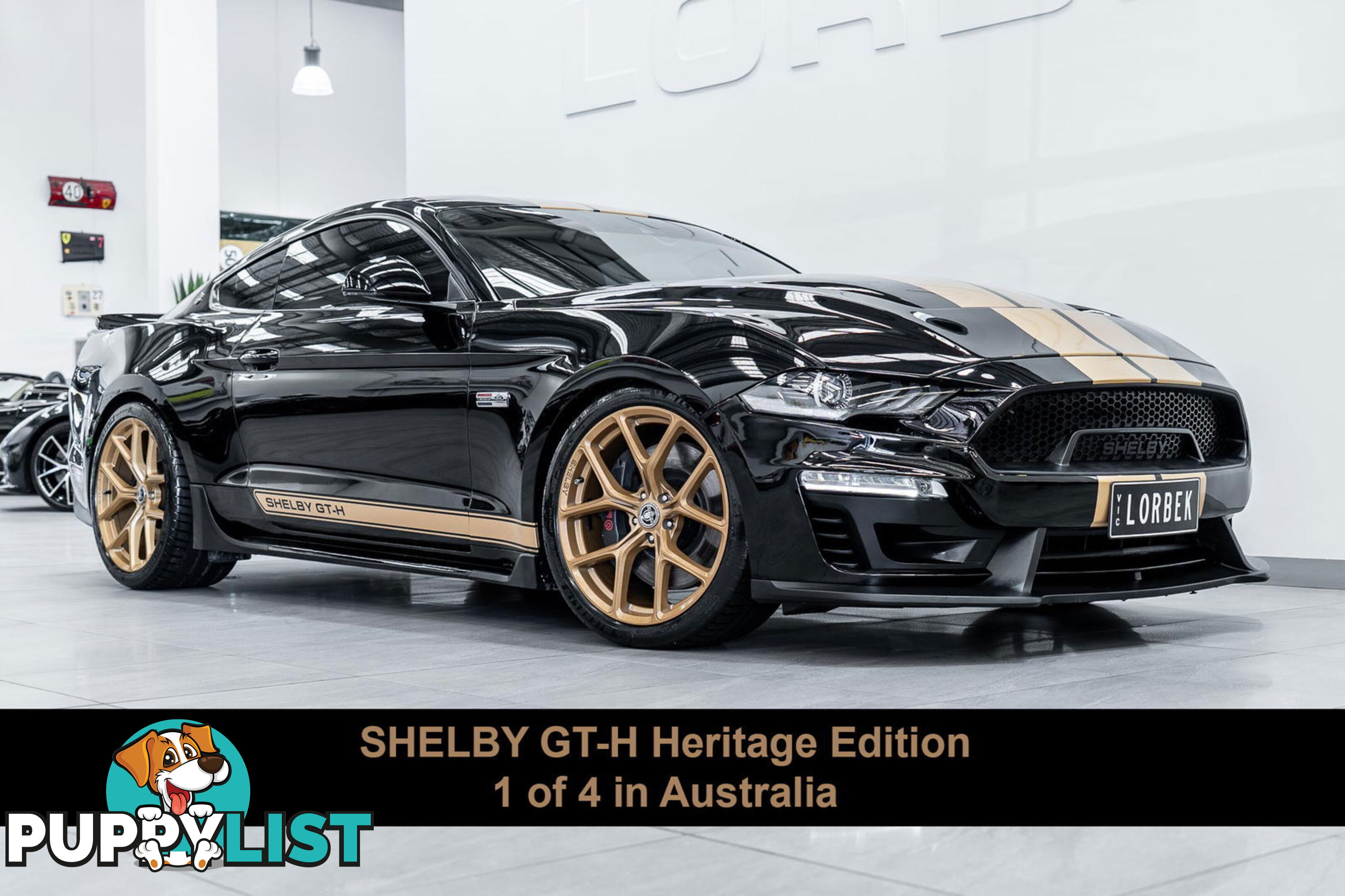 2019 Ford Mustang Shelby GT-H Heritage Edition FN