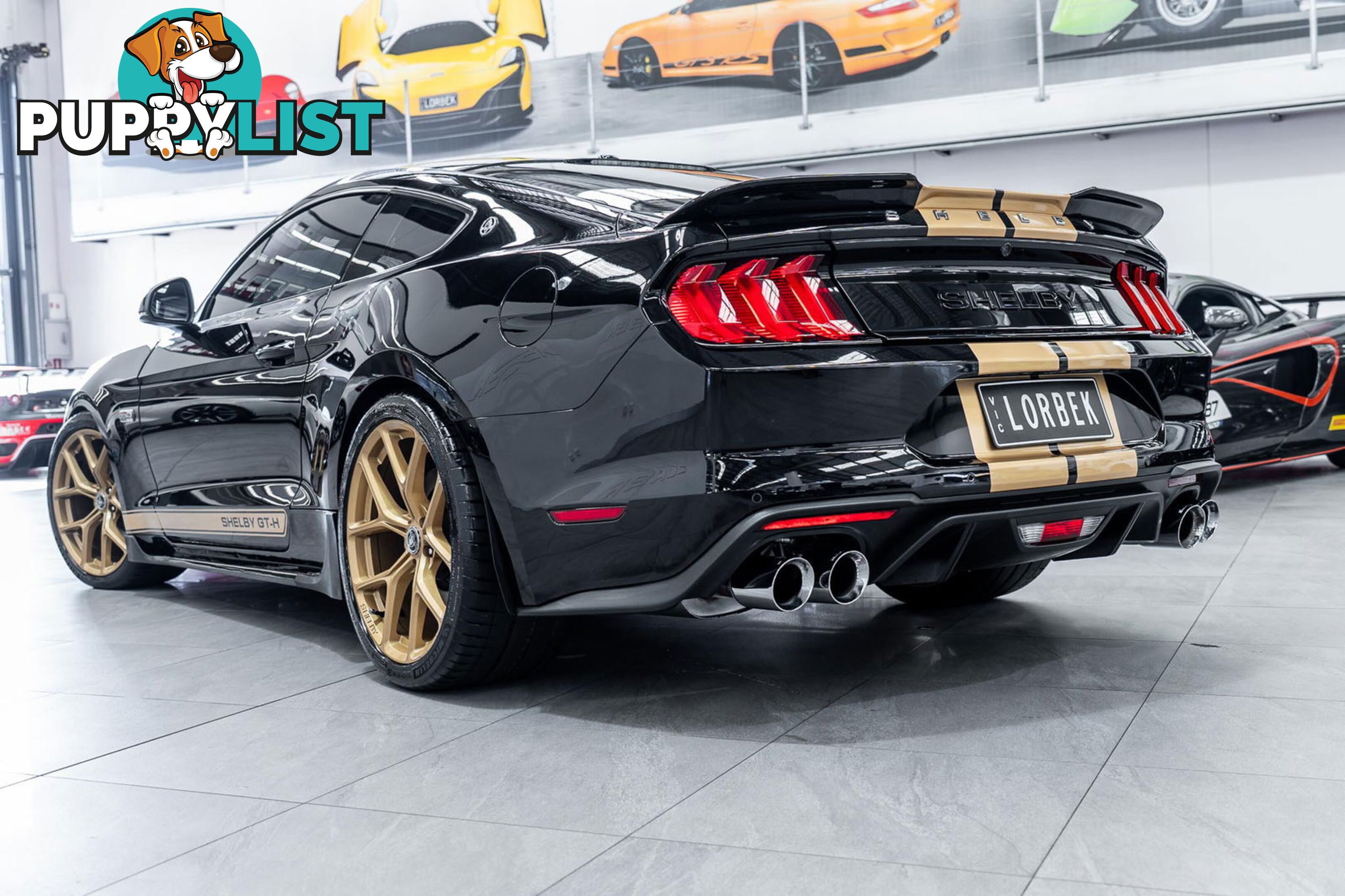2019 Ford Mustang Shelby GT-H Heritage Edition FN