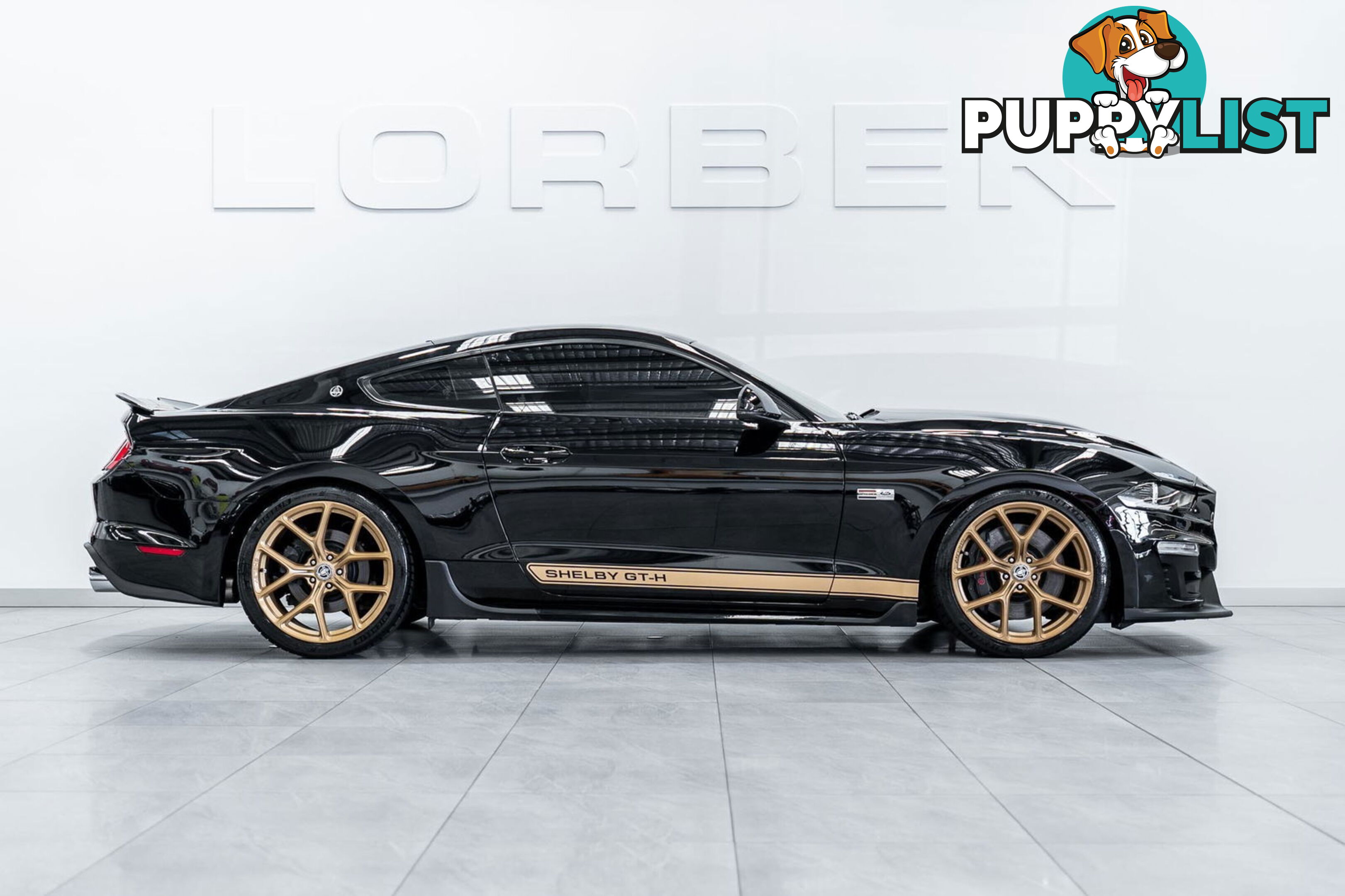 2019 Ford Mustang Shelby GT-H Heritage Edition FN