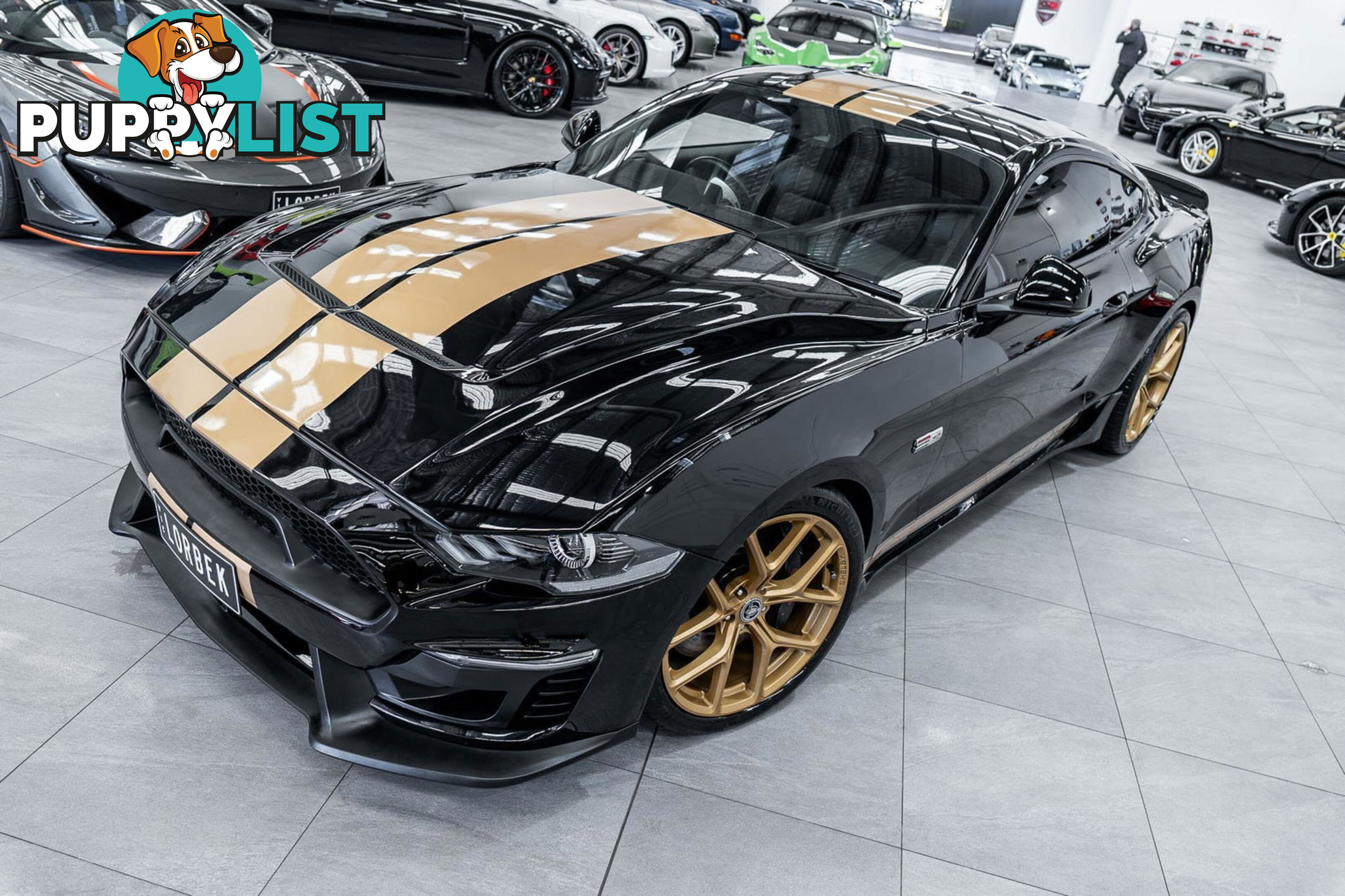 2019 Ford Mustang Shelby GT-H Heritage Edition FN