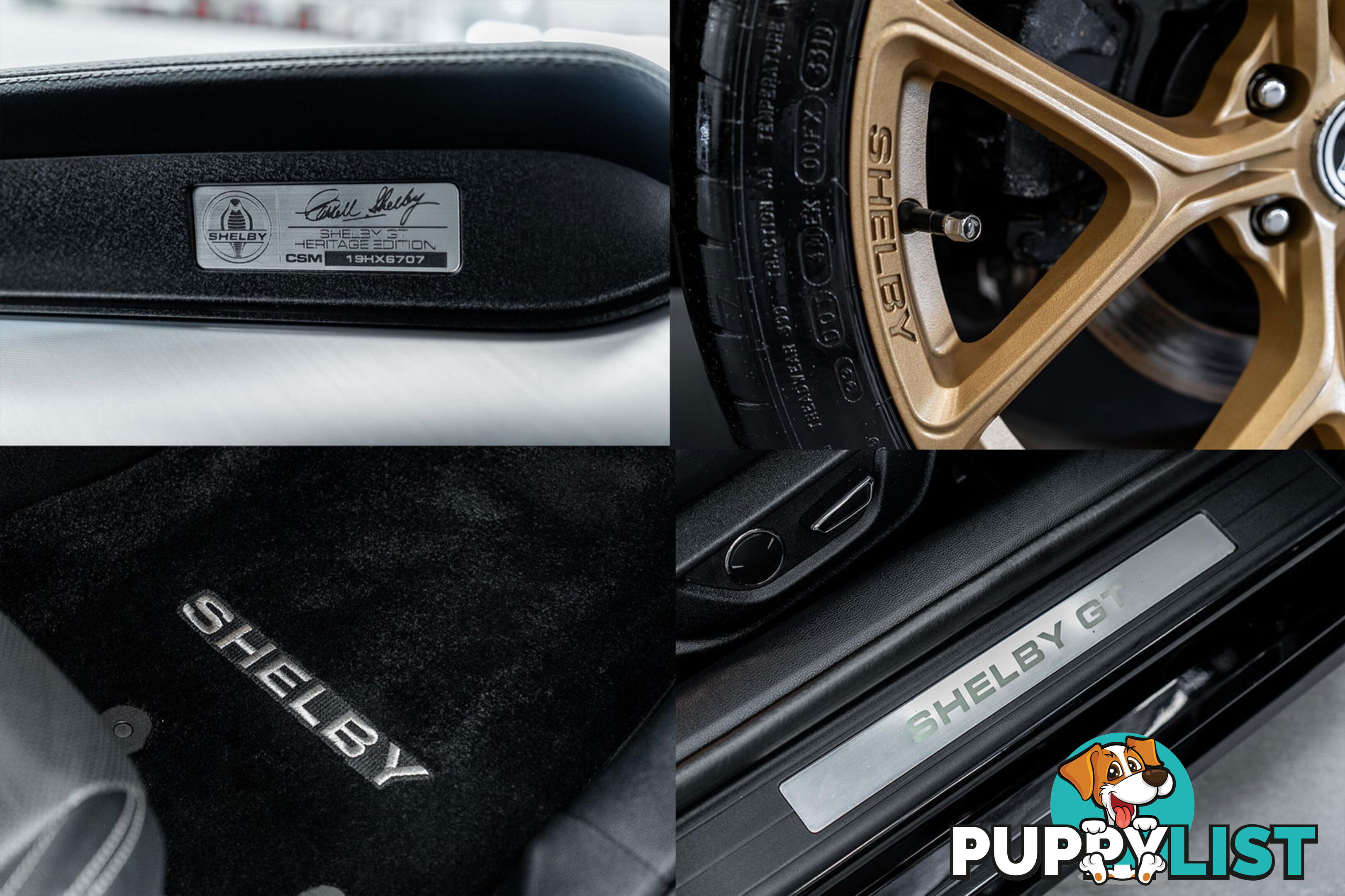 2019 Ford Mustang Shelby GT-H Heritage Edition FN