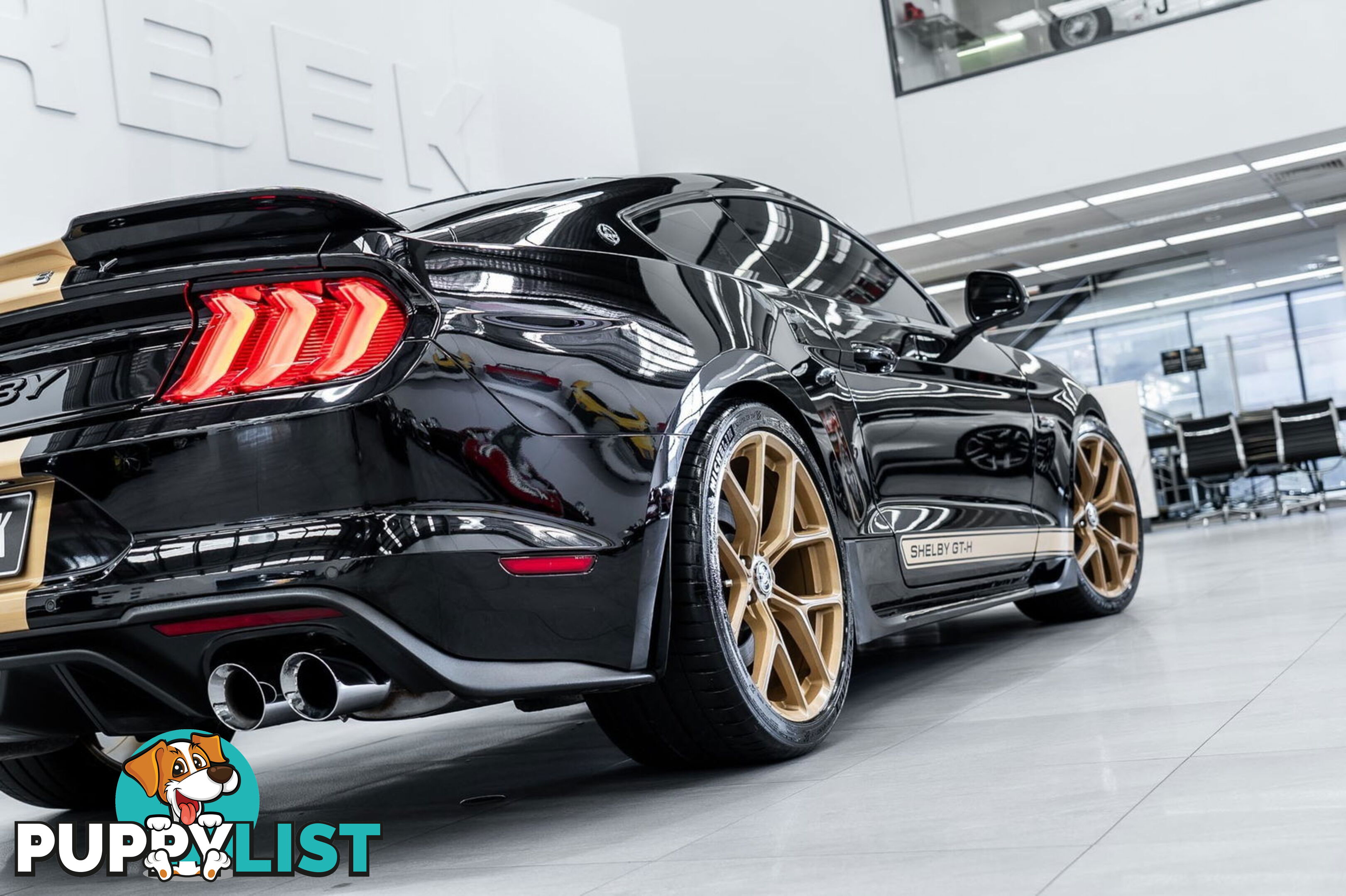 2019 Ford Mustang Shelby GT-H Heritage Edition FN