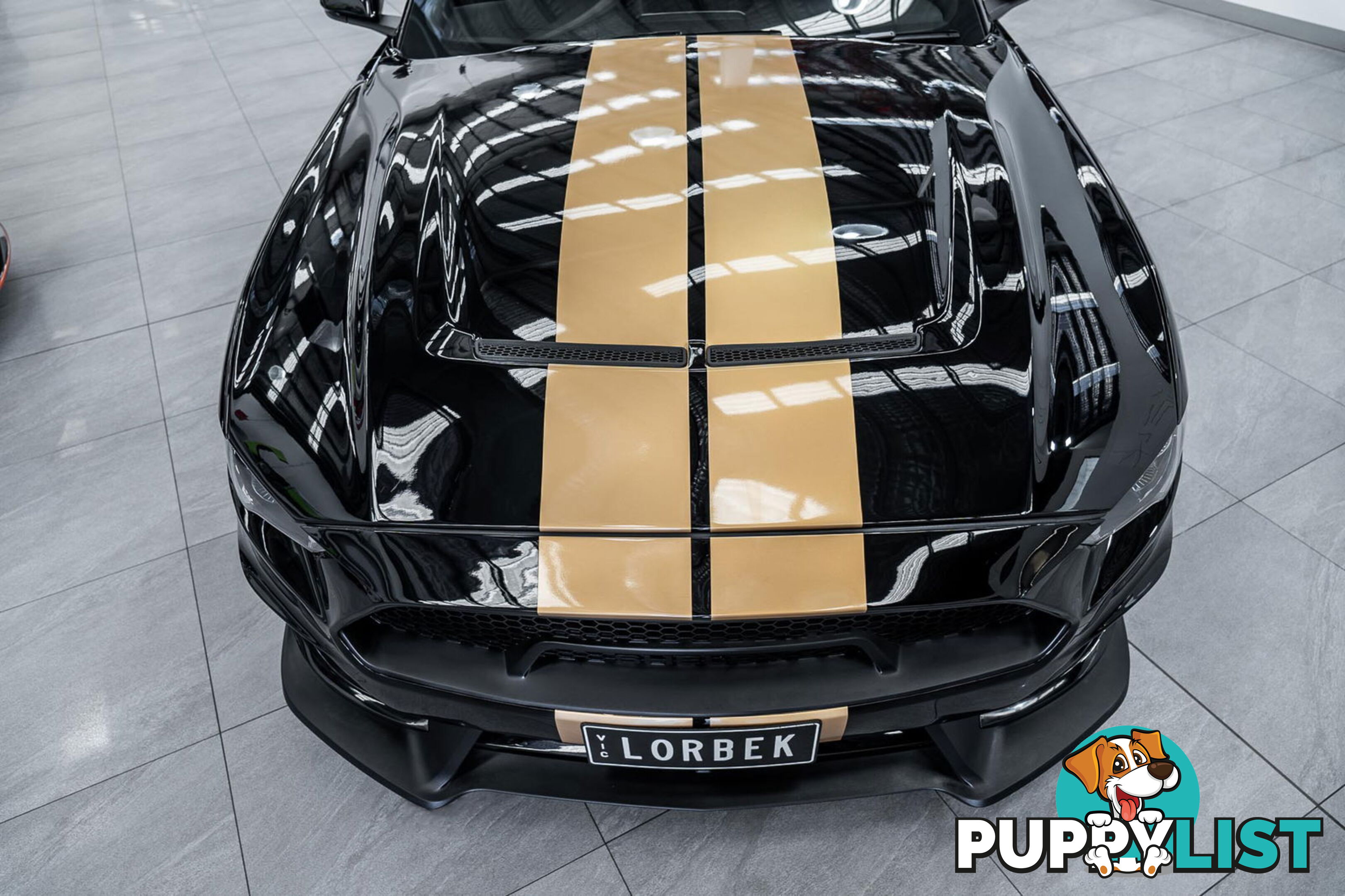 2019 Ford Mustang Shelby GT-H Heritage Edition FN