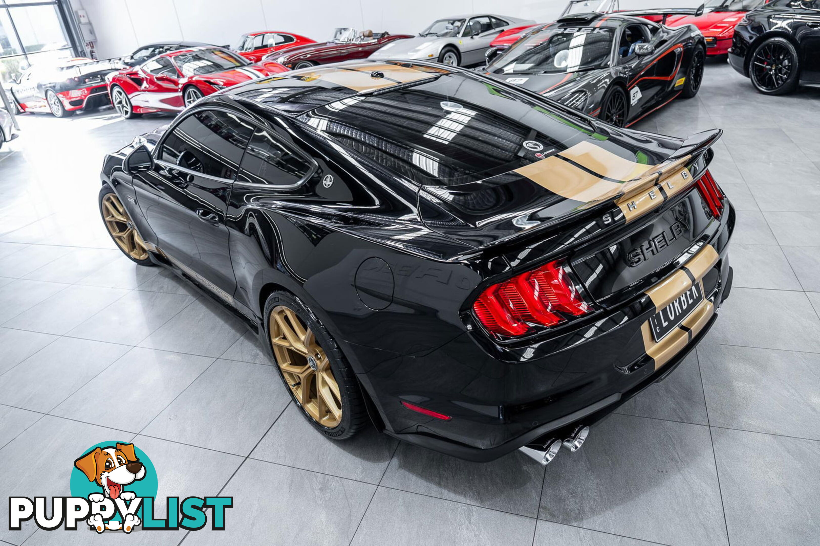 2019 Ford Mustang Shelby GT-H Heritage Edition FN