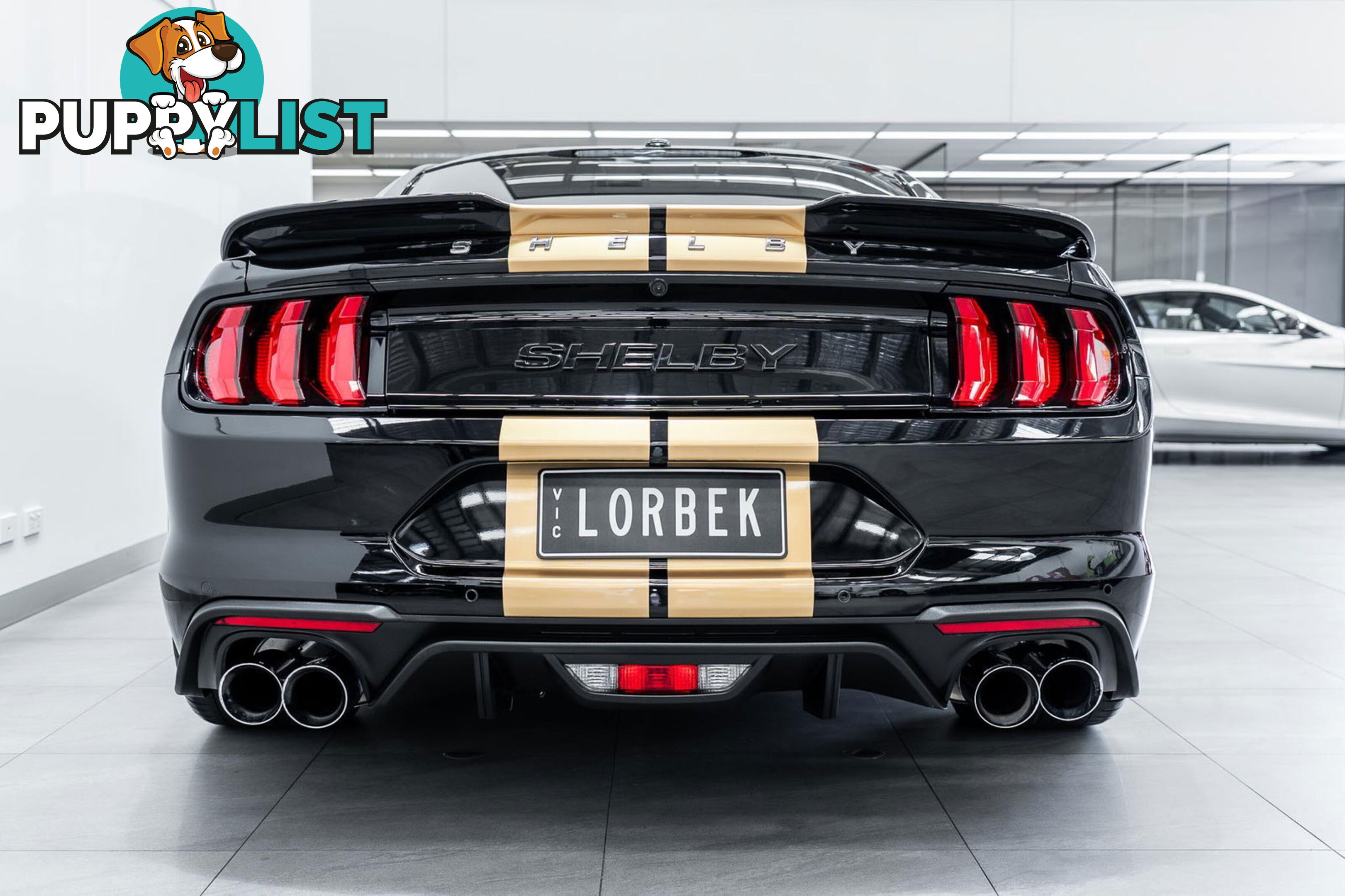 2019 Ford Mustang Shelby GT-H Heritage Edition FN