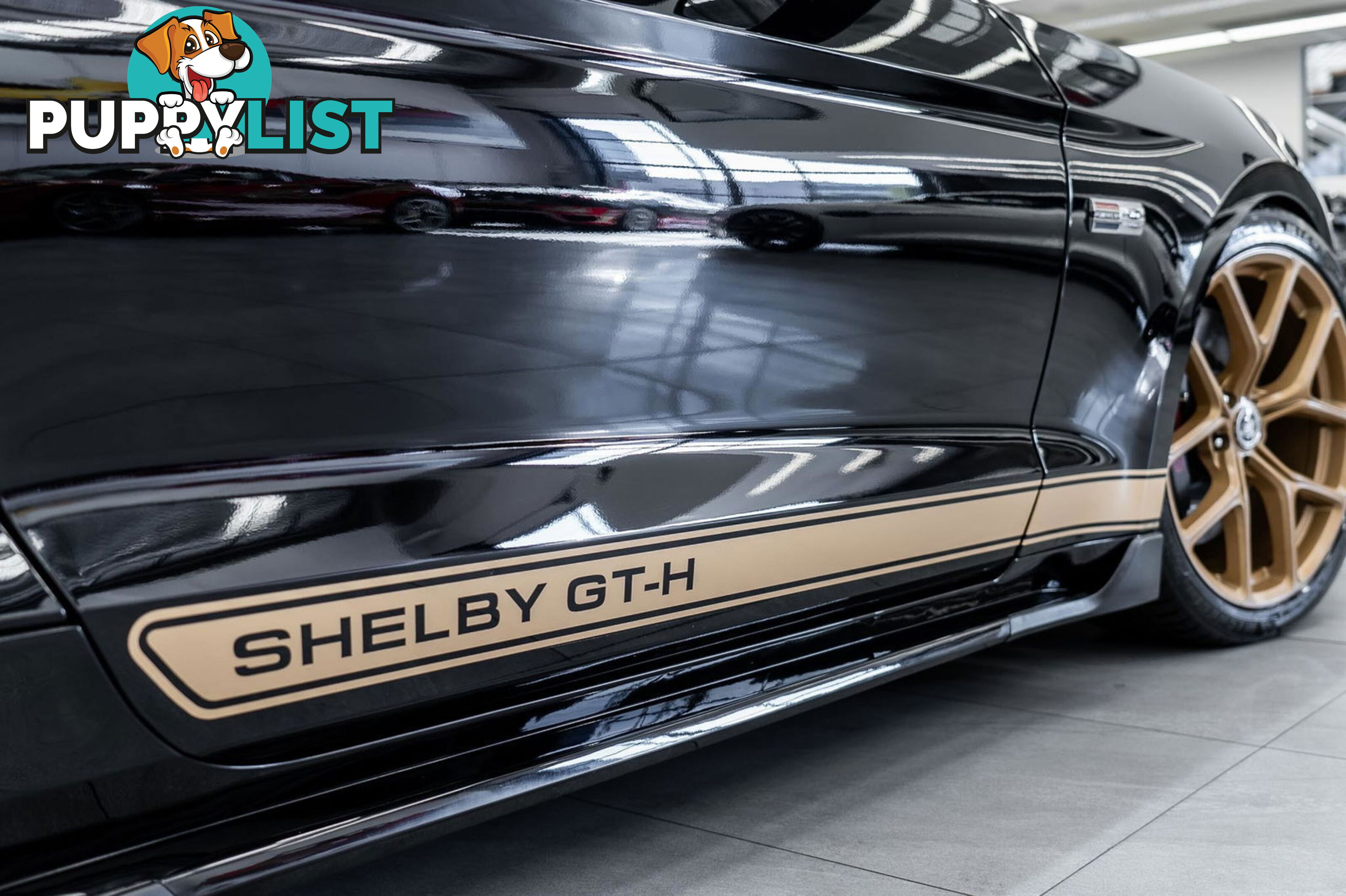 2019 Ford Mustang Shelby GT-H Heritage Edition FN
