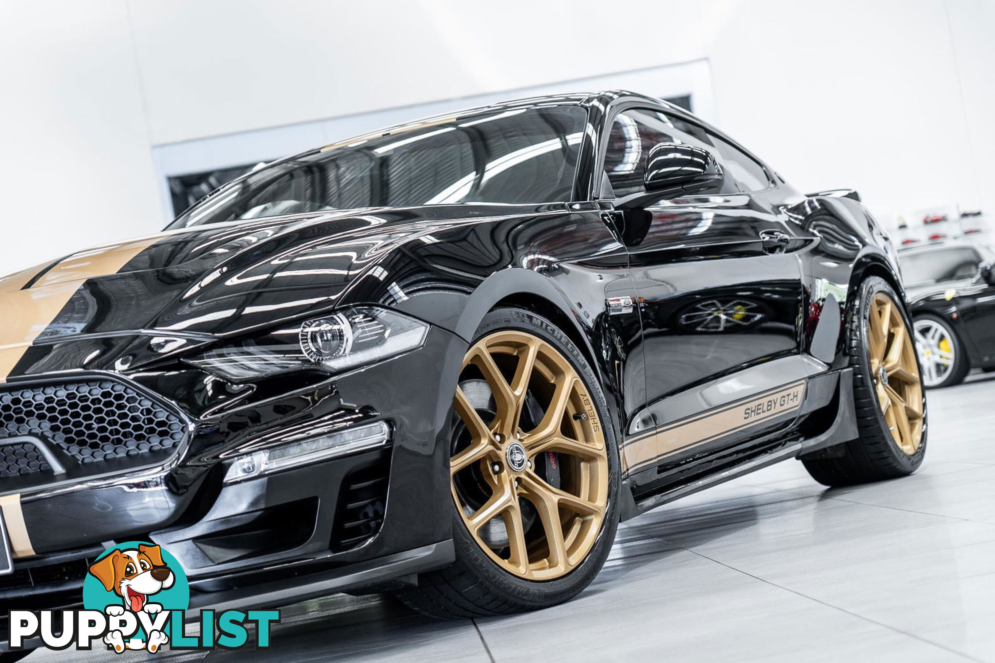 2019 Ford Mustang Shelby GT-H Heritage Edition FN