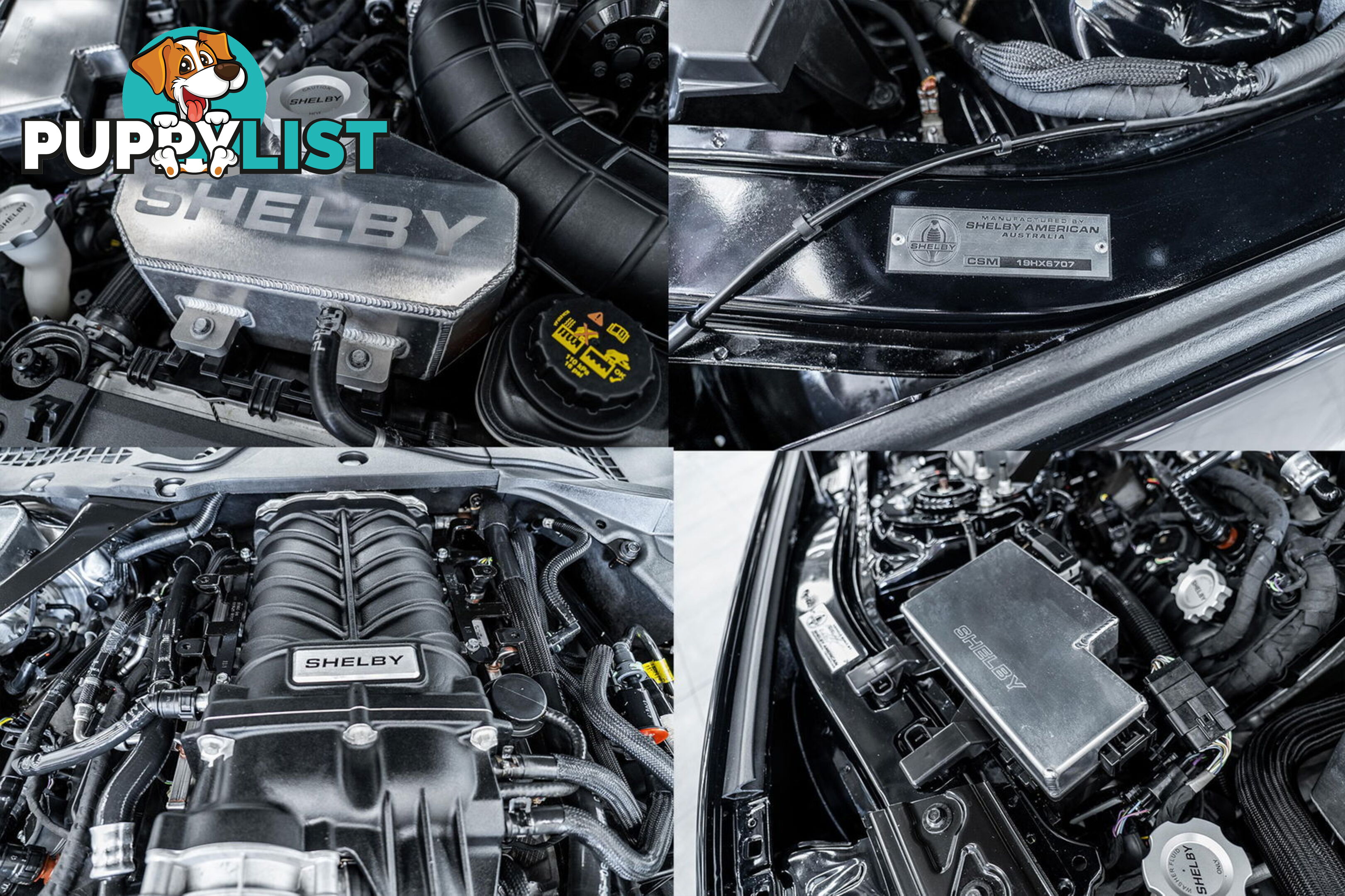 2019 Ford Mustang Shelby GT-H Heritage Edition FN