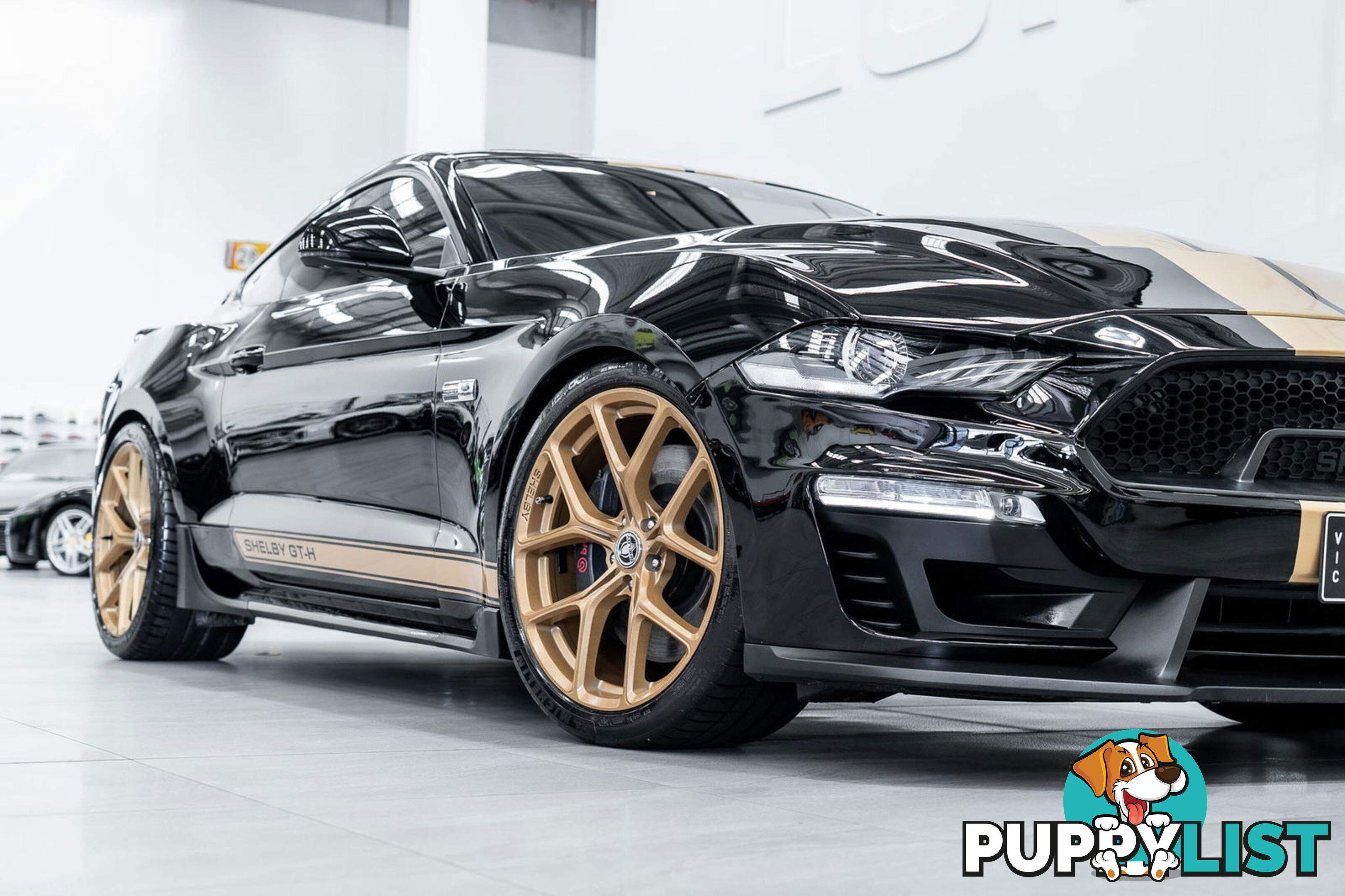 2019 Ford Mustang Shelby GT-H Heritage Edition FN