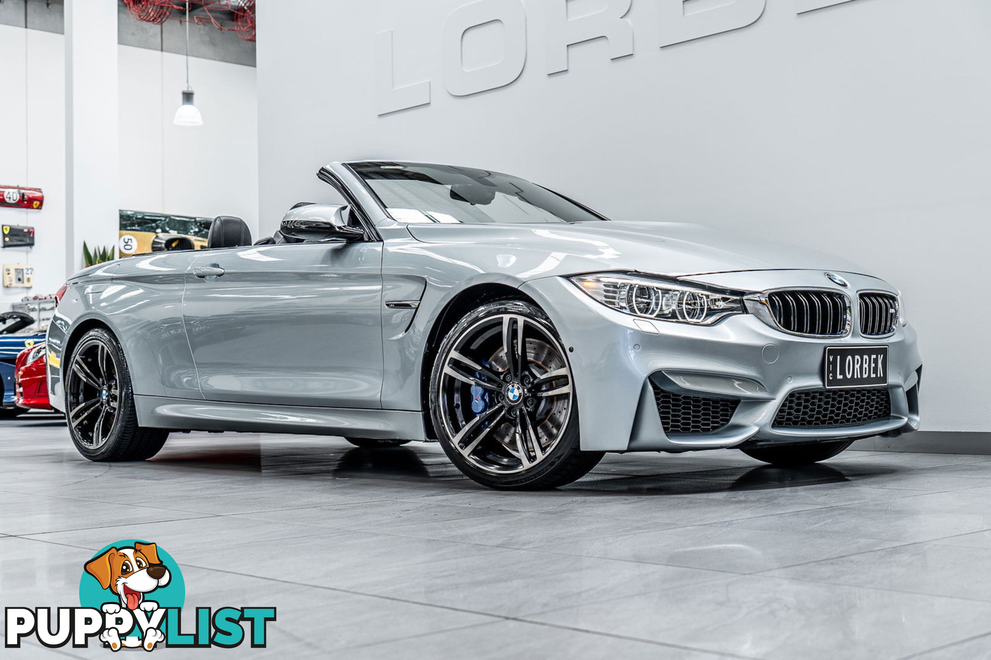 2015 BMW M4  F83