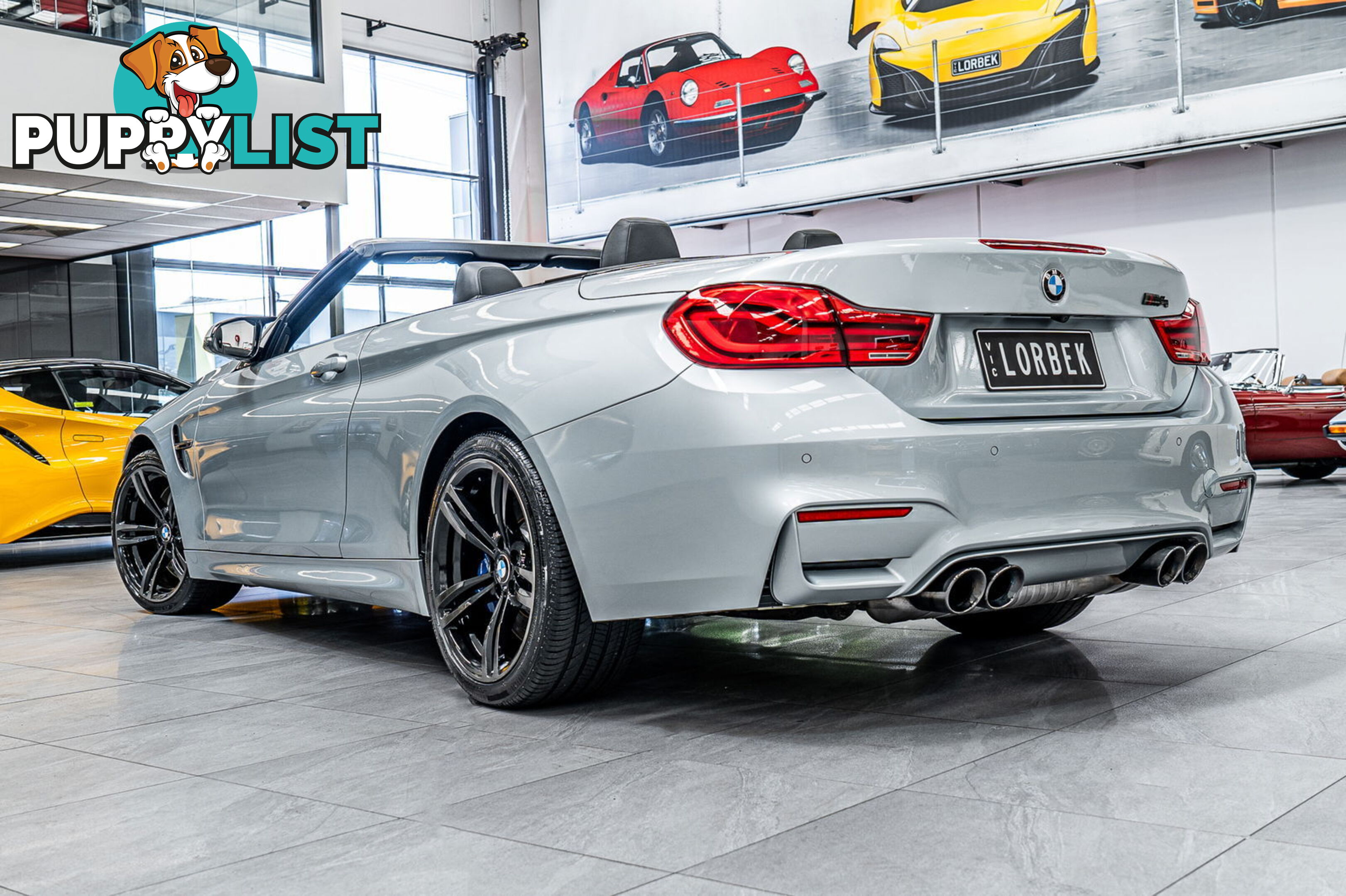 2015 BMW M4  F83