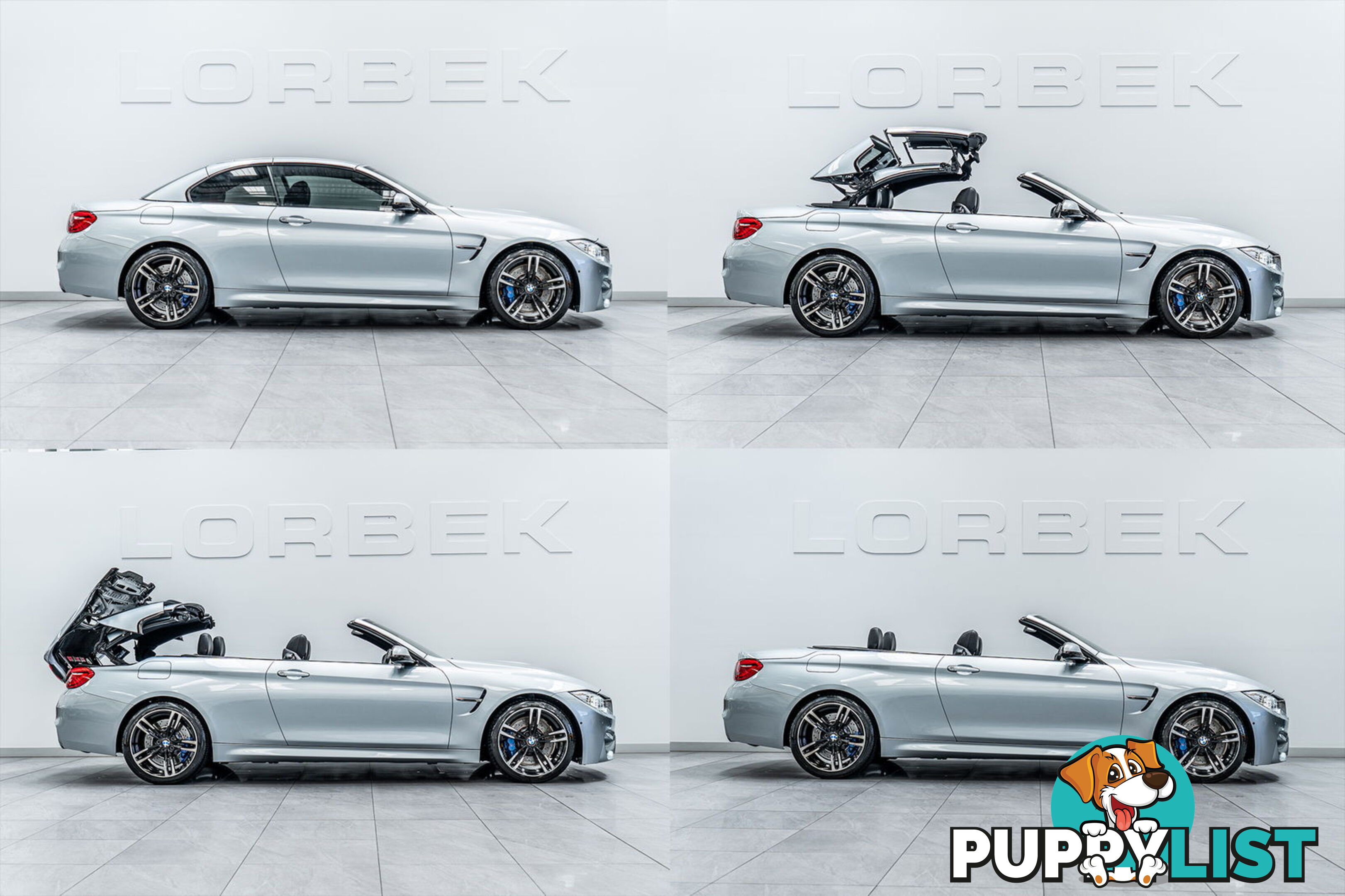 2015 BMW M4  F83