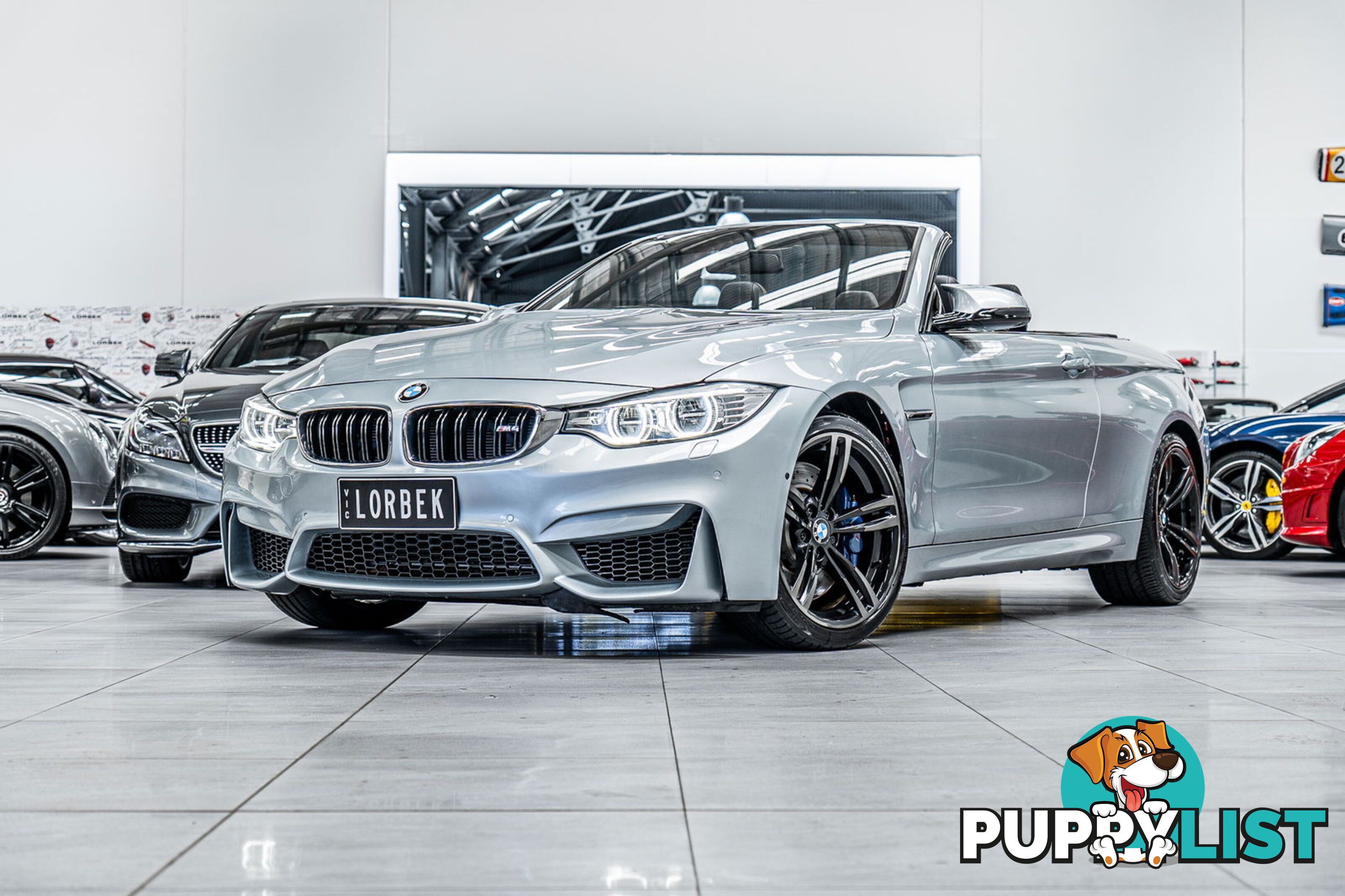 2015 BMW M4  F83