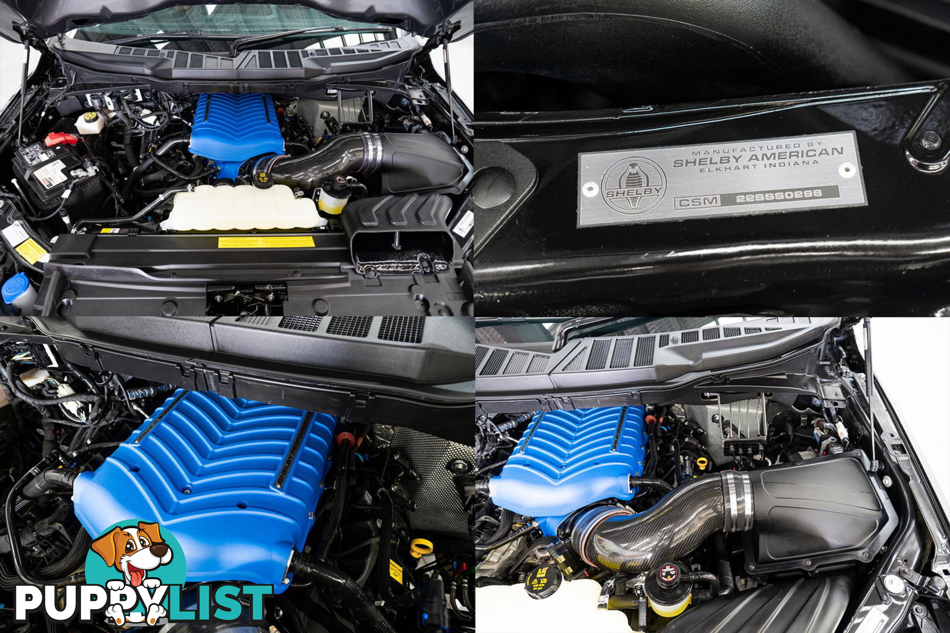 2022 Ford F150 Shelby Supersnake Sport F150