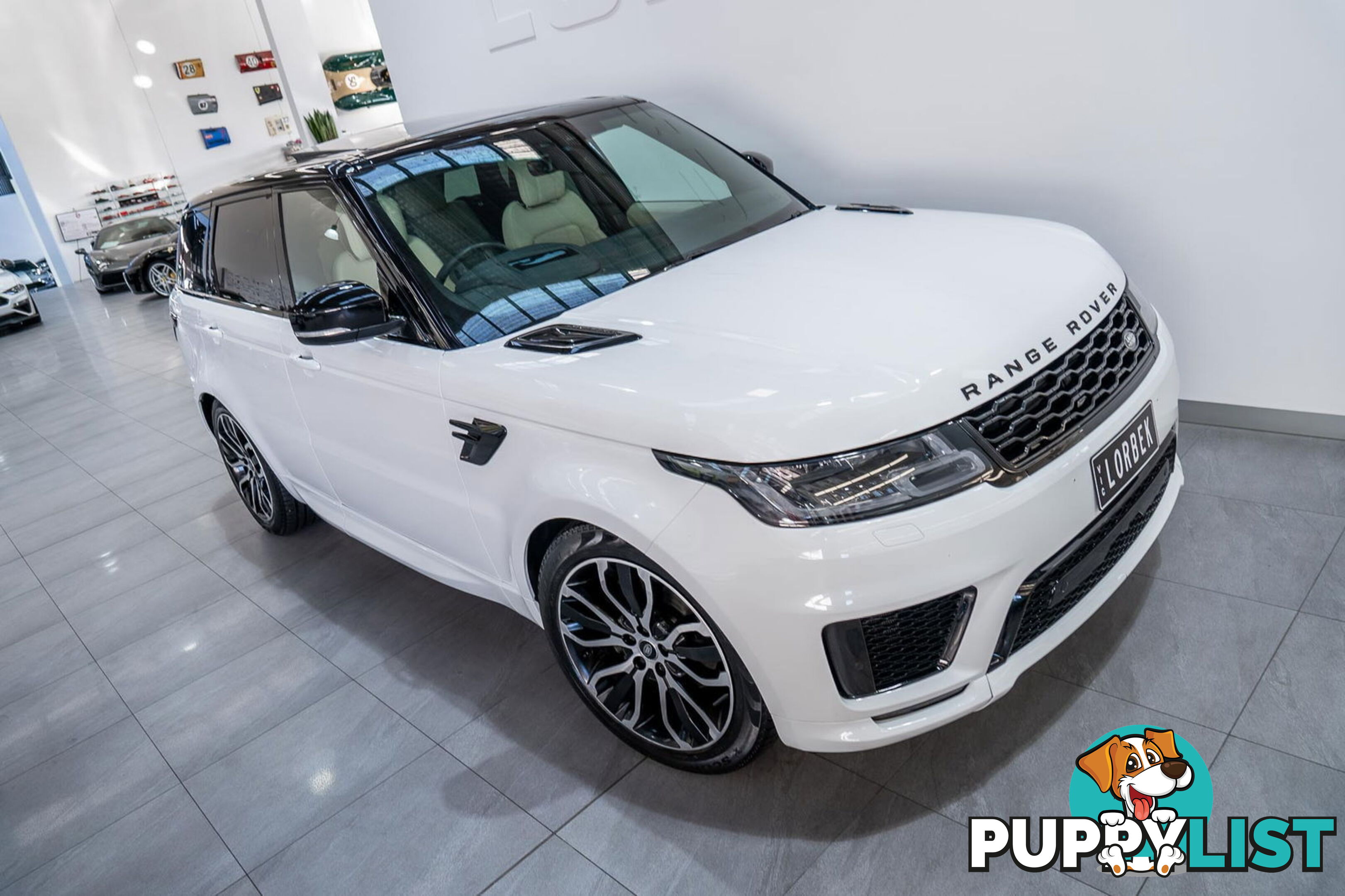 2020 Land Rover Range Rover Sport SDV6 HSE (225kW) L494 MY20