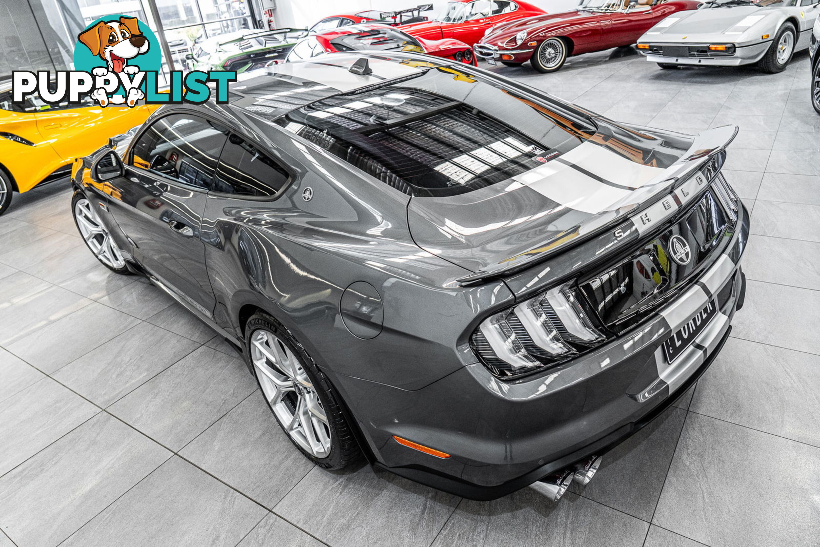 2023 Ford Mustang GT 5.0 V8 FN MY23