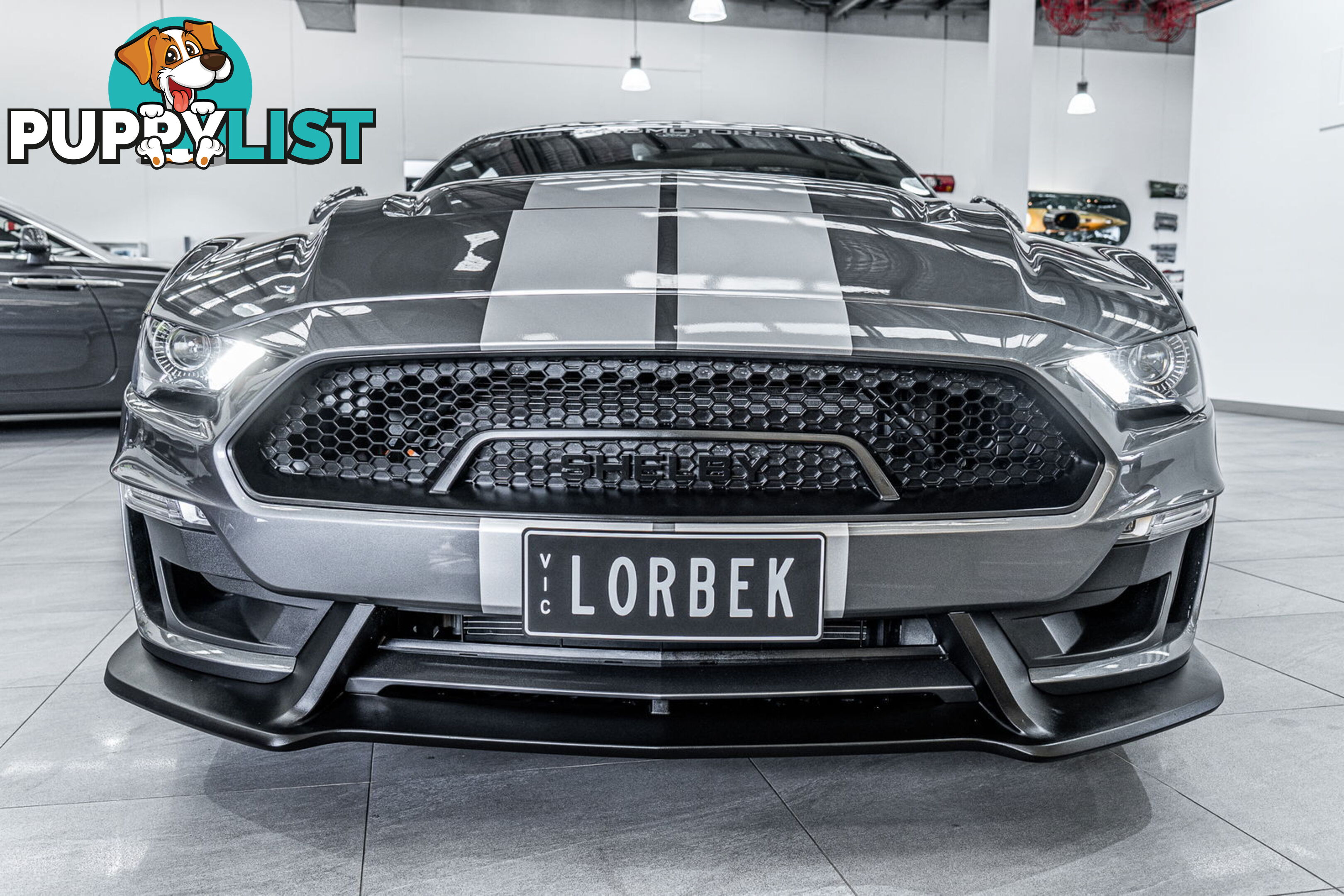 2023 Ford Mustang GT 5.0 V8 FN MY23