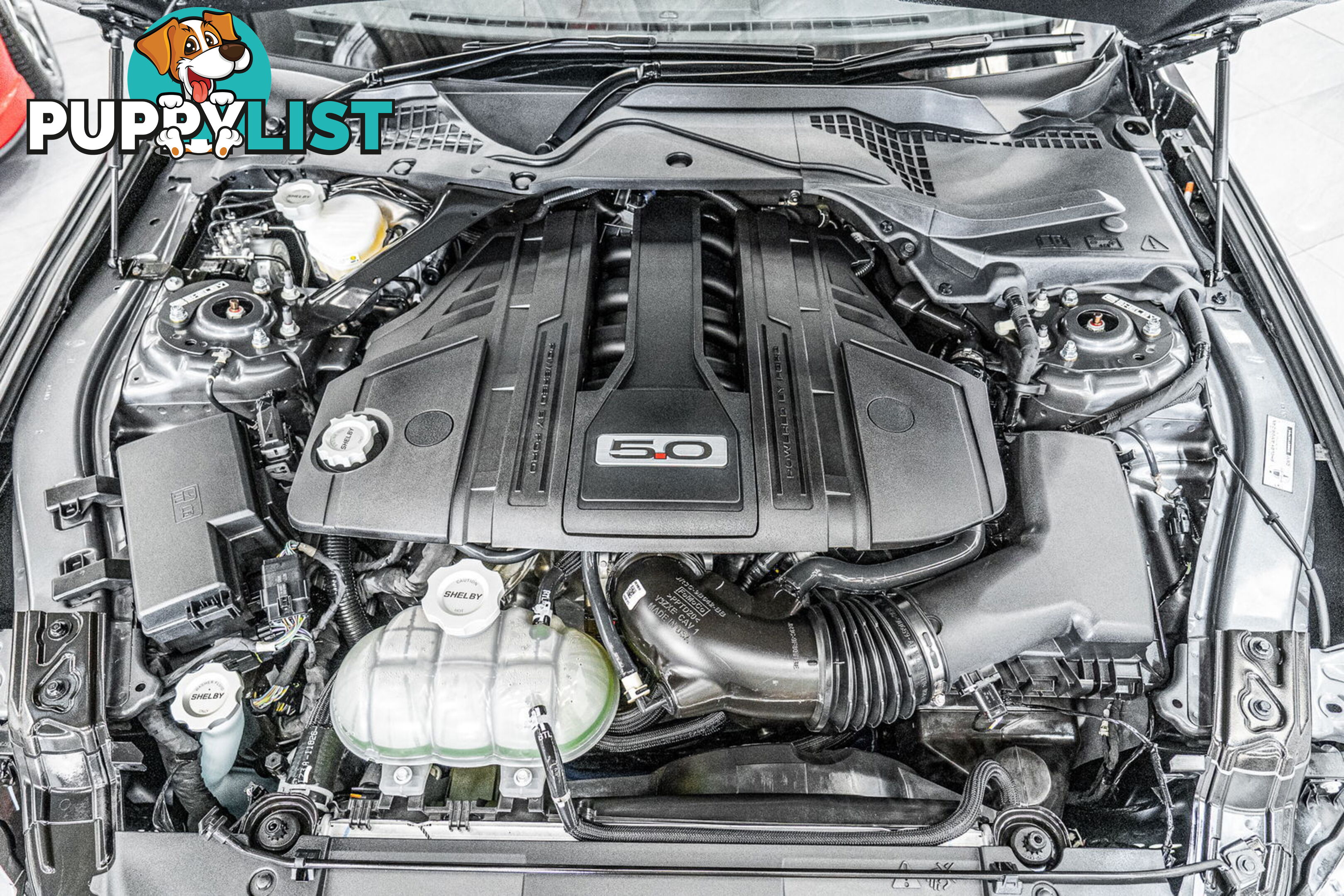2023 Ford Mustang GT 5.0 V8 FN MY23