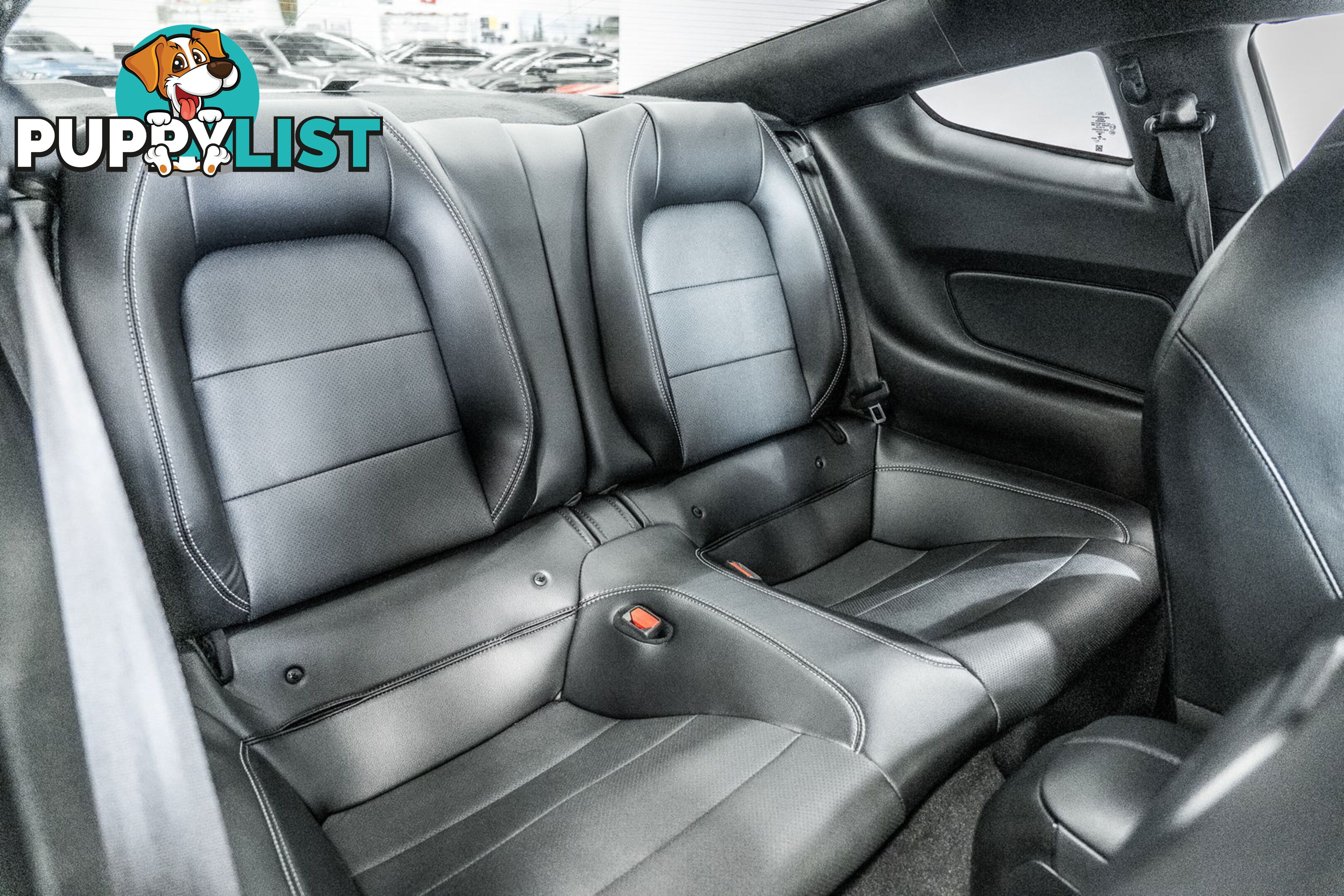 2023 Ford Mustang GT 5.0 V8 FN MY23
