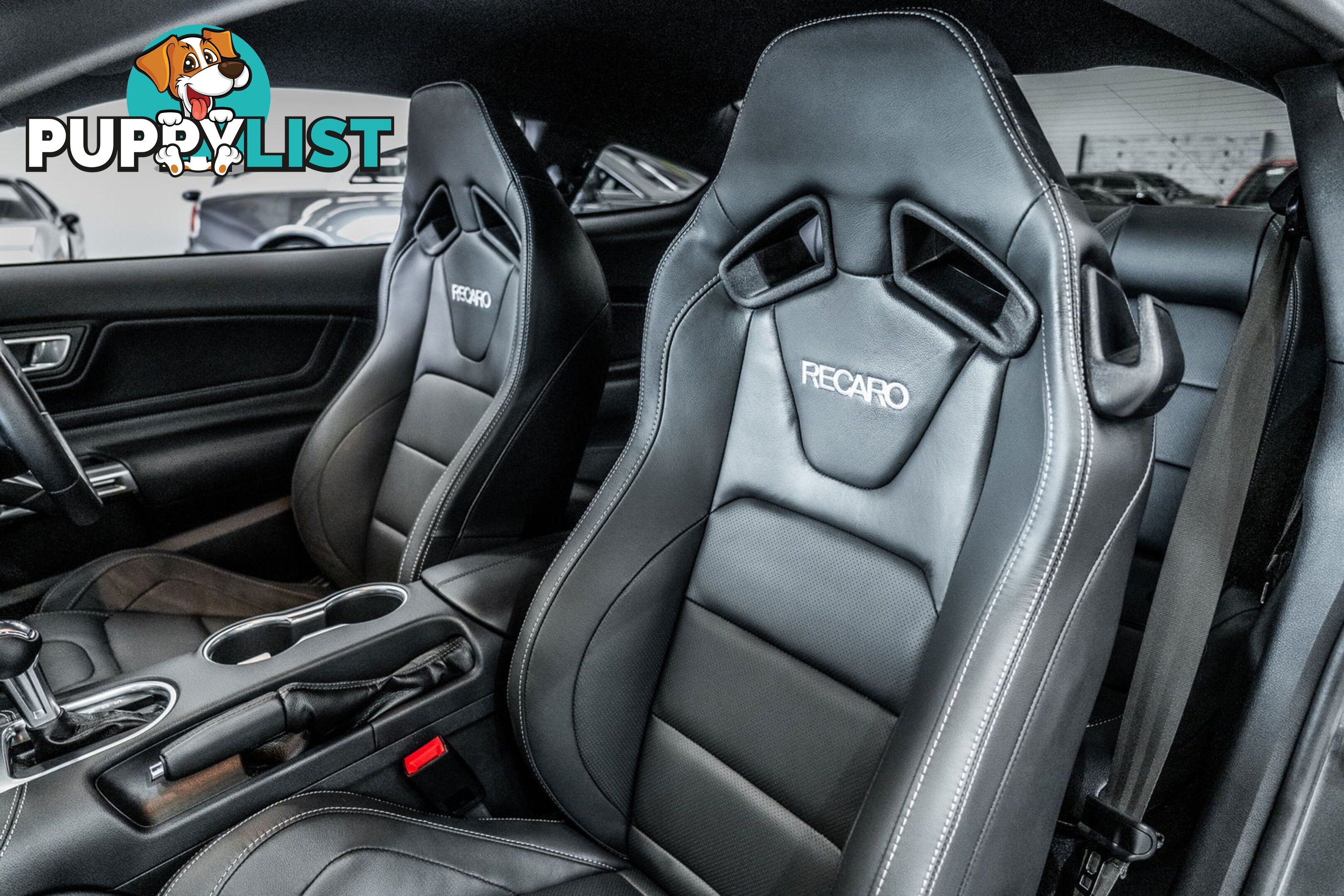 2023 Ford Mustang GT 5.0 V8 FN MY23