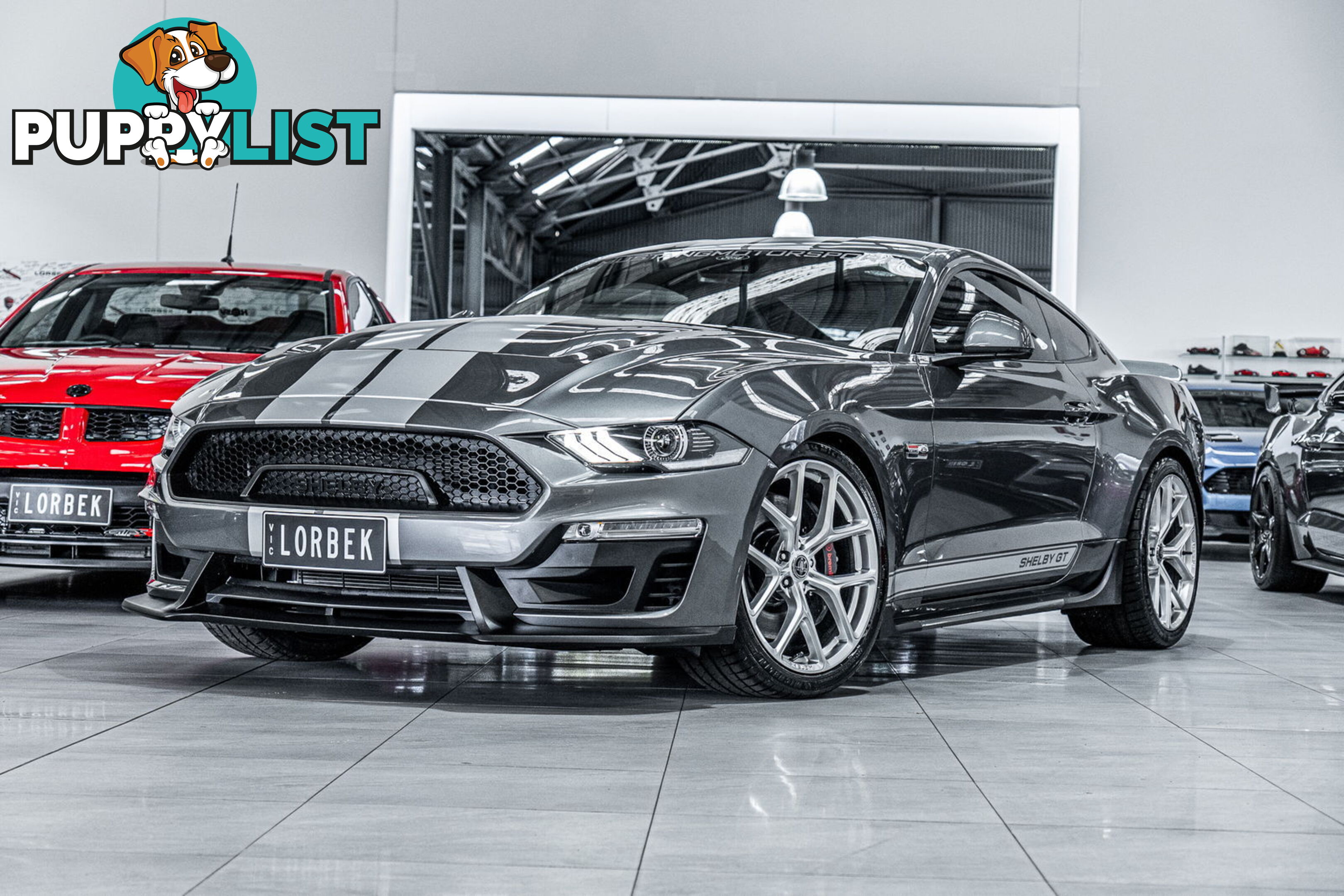 2023 Ford Mustang GT 5.0 V8 FN MY23