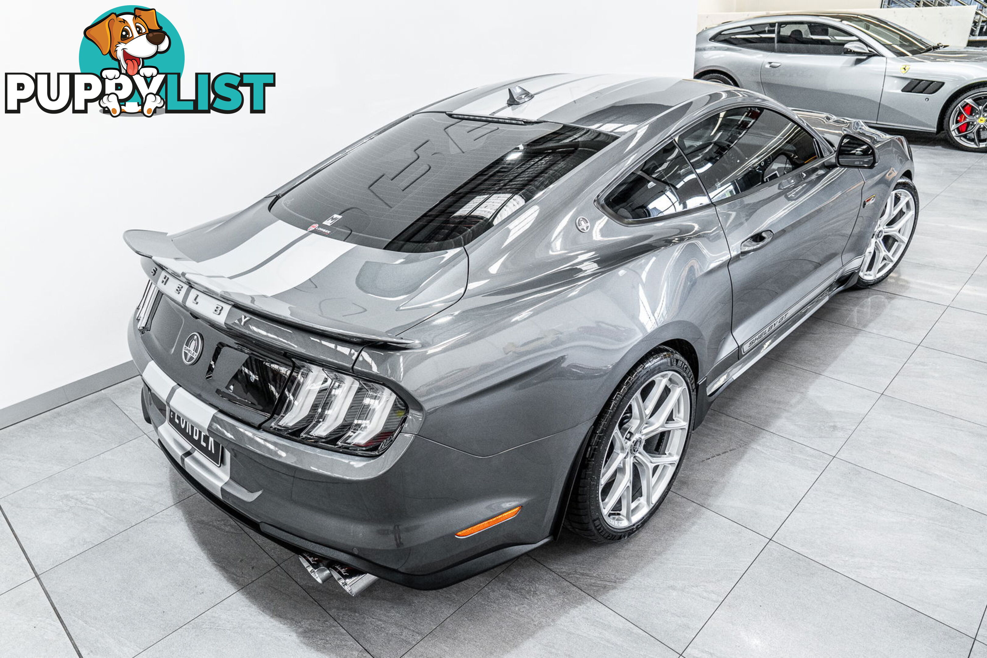 2023 Ford Mustang GT 5.0 V8 FN MY23