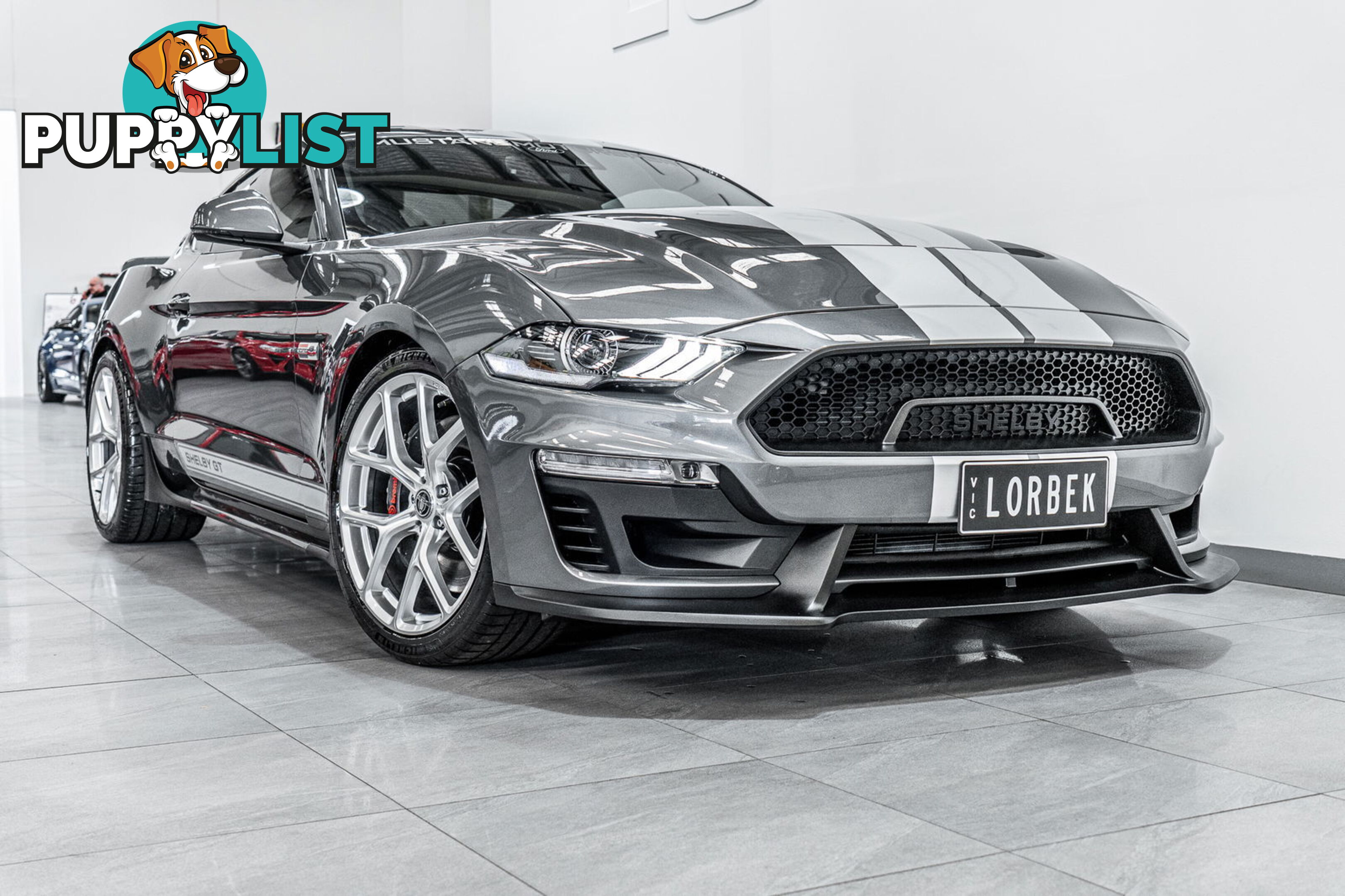 2023 Ford Mustang GT 5.0 V8 FN MY23