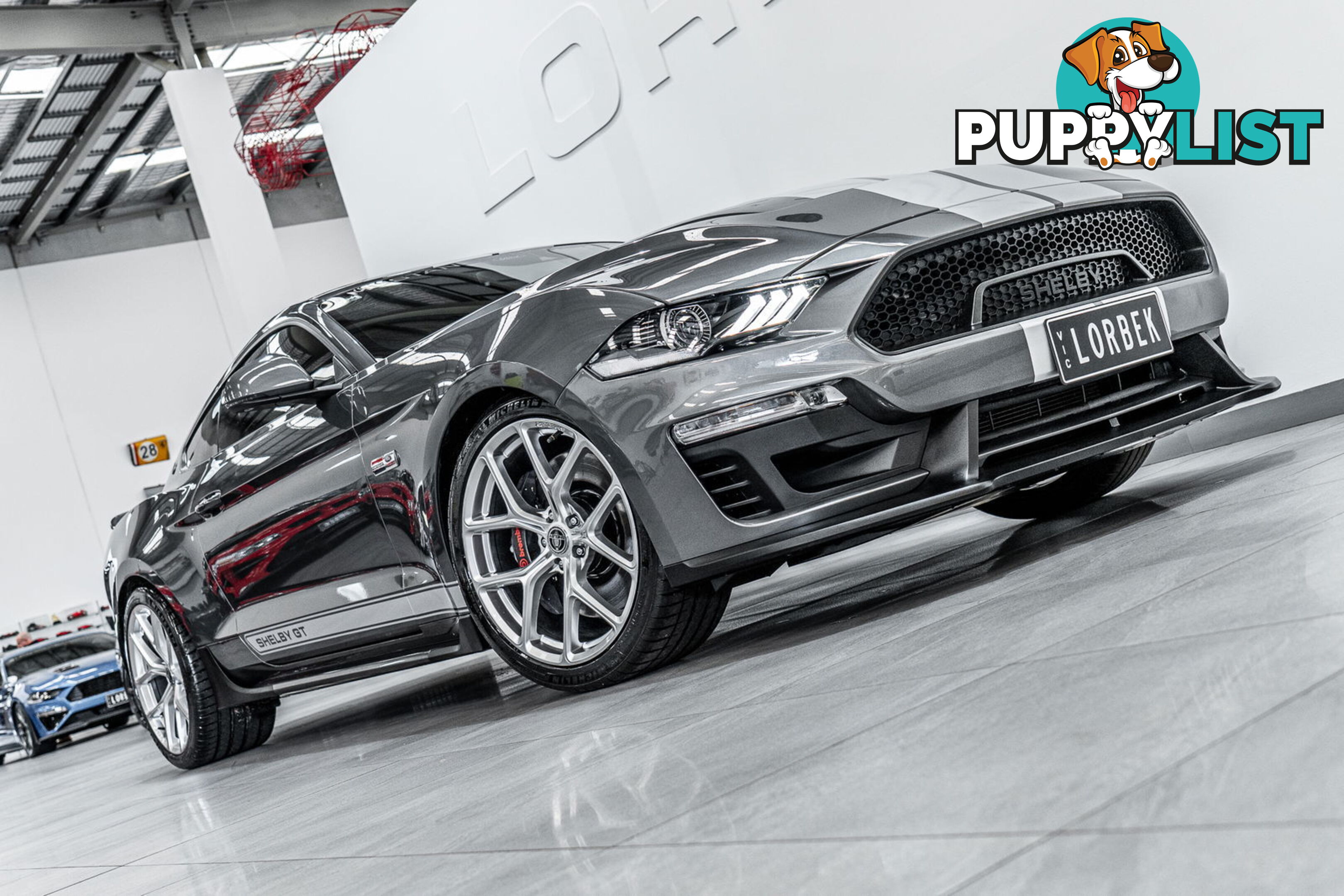 2023 Ford Mustang GT 5.0 V8 FN MY23